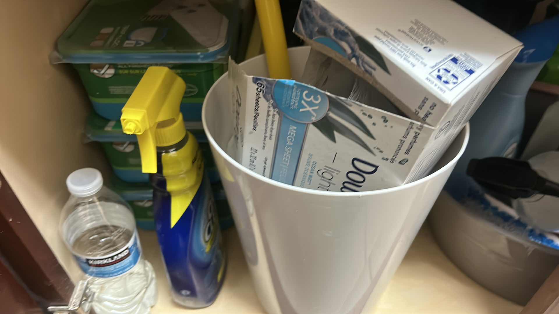 Photo 1 of CLEANING SUPPLIES UNDER SINK IN LAUNDRY ROOM