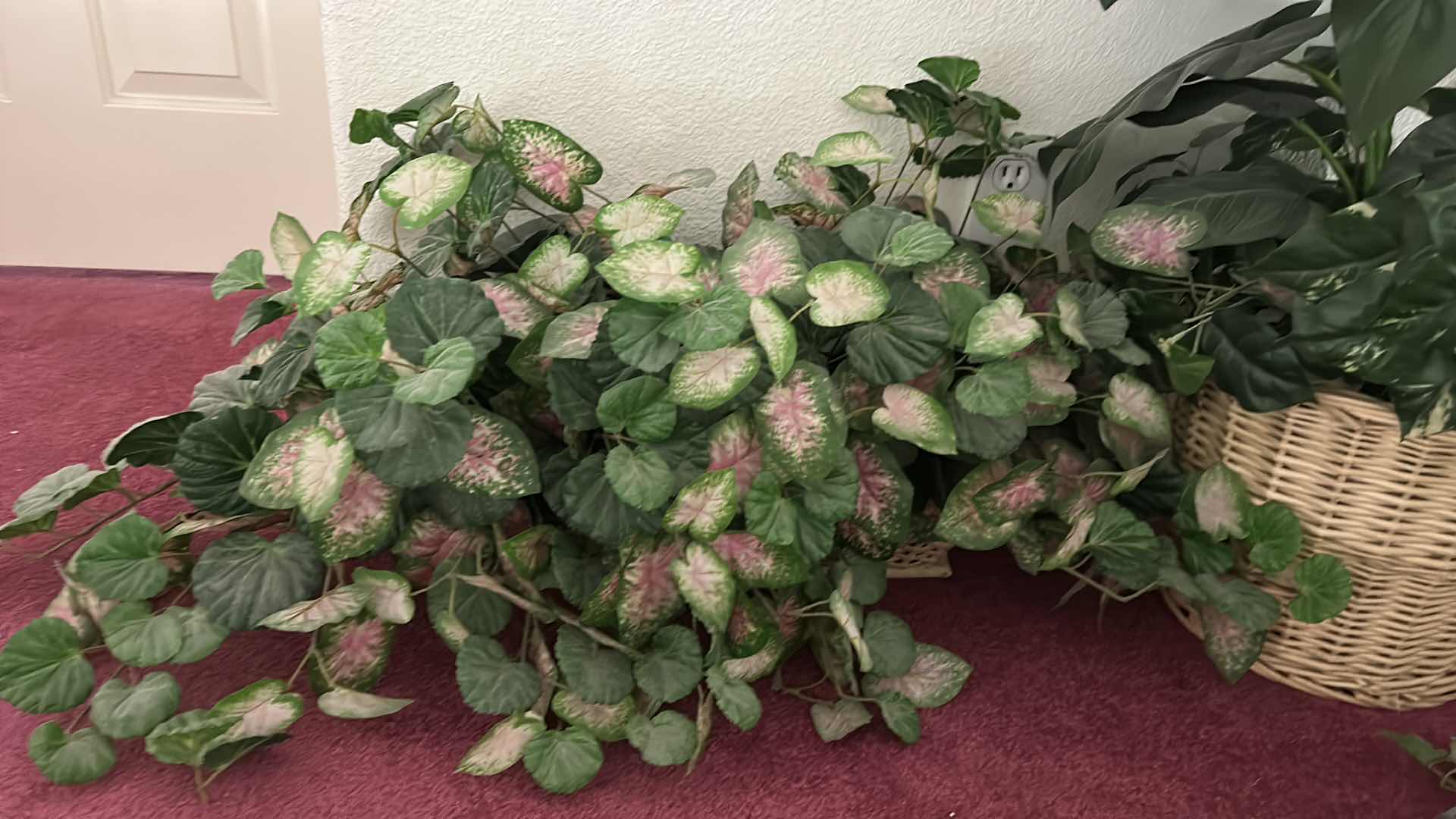 Photo 1 of 3 FAUX GREENERY TALLEST 3”