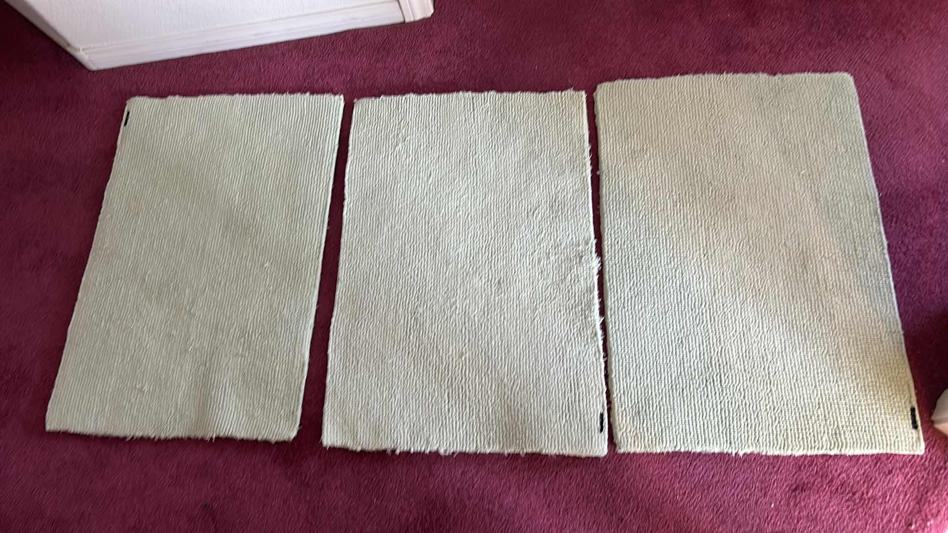 Photo 1 of 3 PALE GREEN RUGS 21 1/2” x 30 1/2”