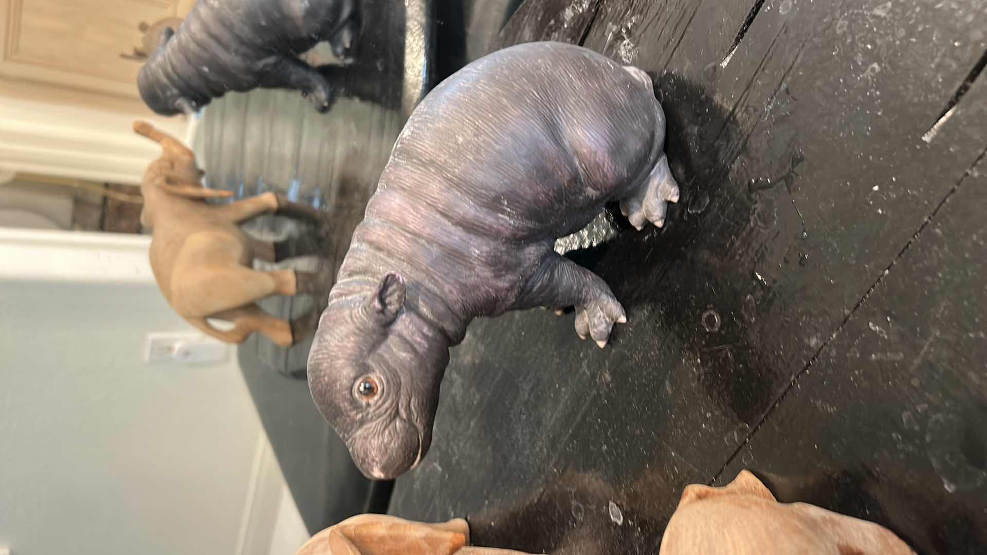 Photo 1 of ANIMAL FIGURE ASSORTMENT