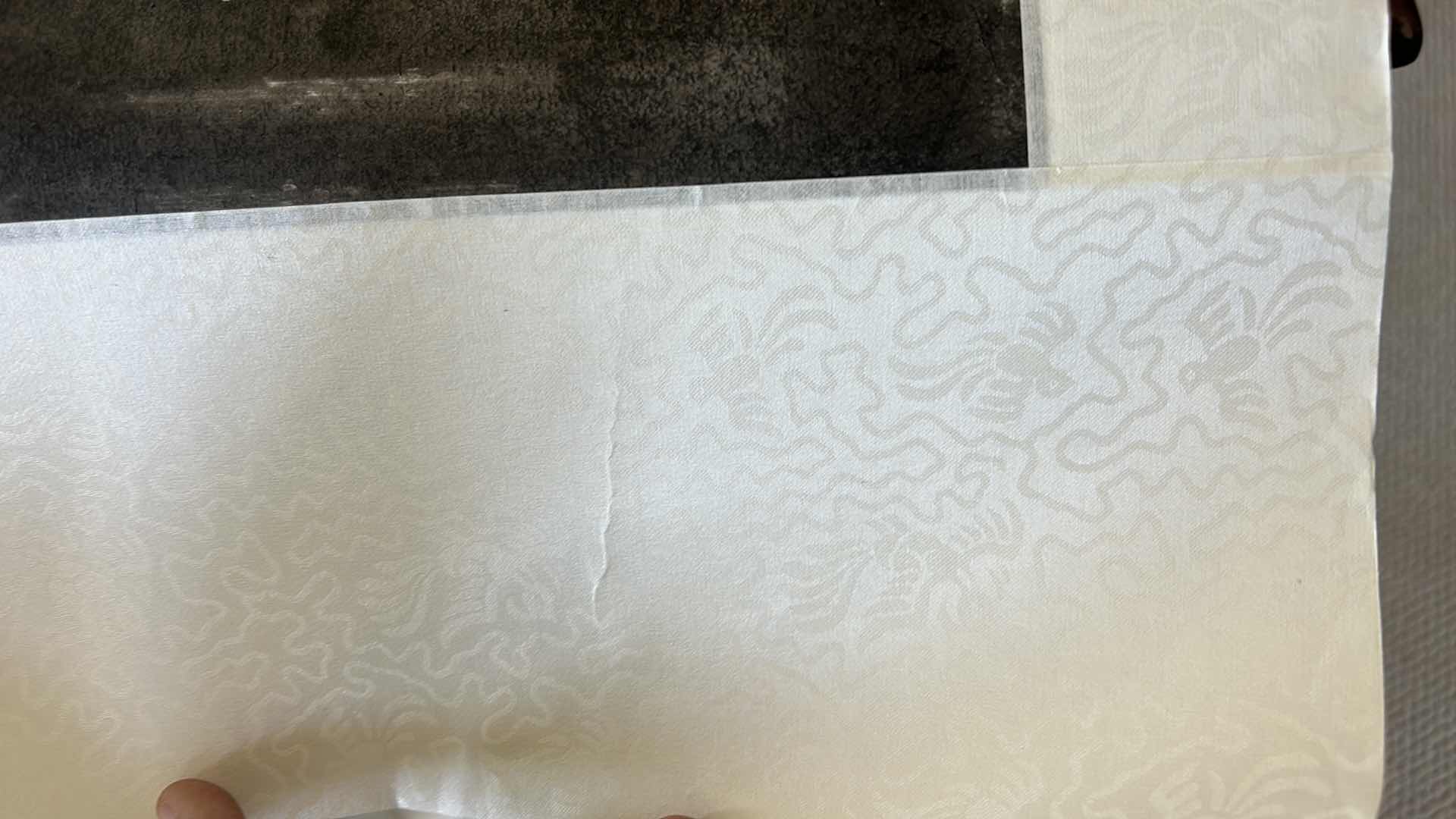 Photo 1 of ASIAN SCROLL POSSIBLY ON RICE PAPER 57 1/2” x 16”