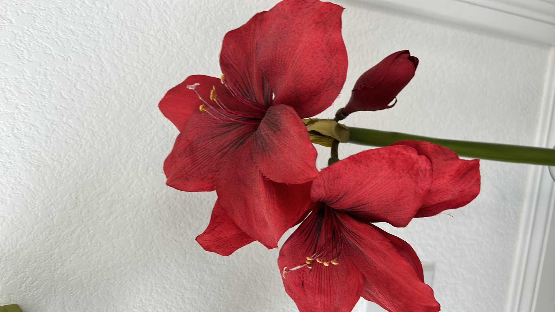 Photo 8 of 2 FAUX FLORALS (TALLEST 40”)