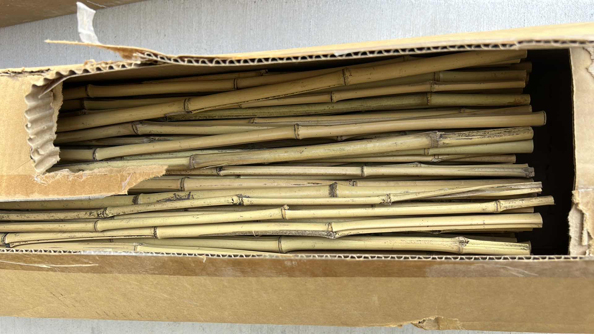 Photo 1 of 4’ BAMBOO POLES AND ASIAN POT