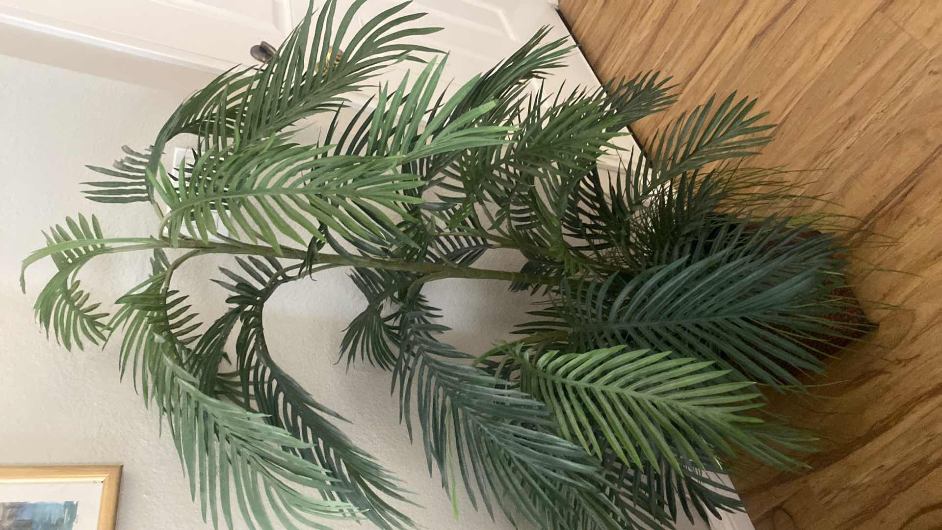 Photo 1 of FAUX PALM TREE H 56”