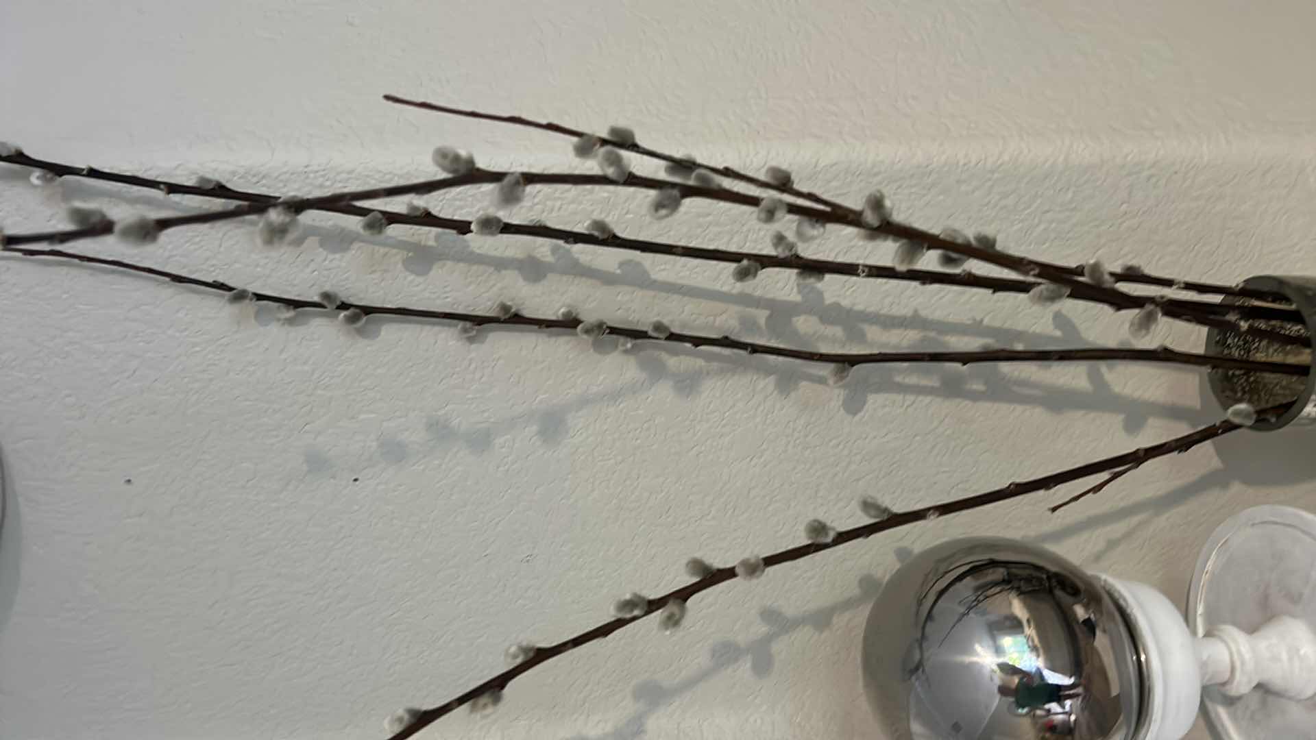 Photo 1 of HOME DECOR ASSORTMENT PUSSYWILLOWS H4’ to 5’