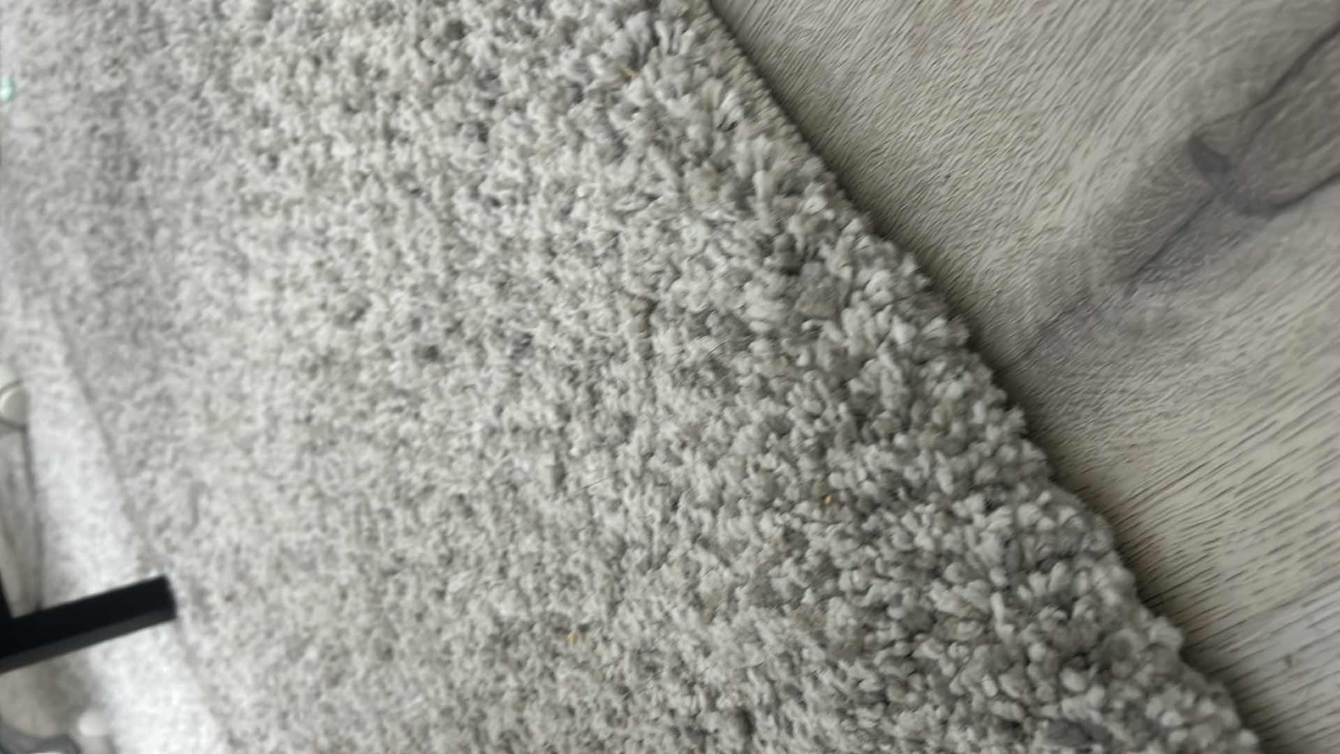 Photo 1 of MACY’S THICK PILE AREA RUG W PAD 10 1/2’ x 8 1/2’