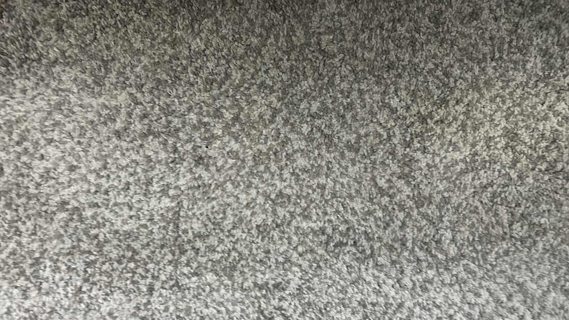 Photo 1 of MACY’S THICK PILE AREA RUG W PAD 10 1/2’ x 8 1/2’