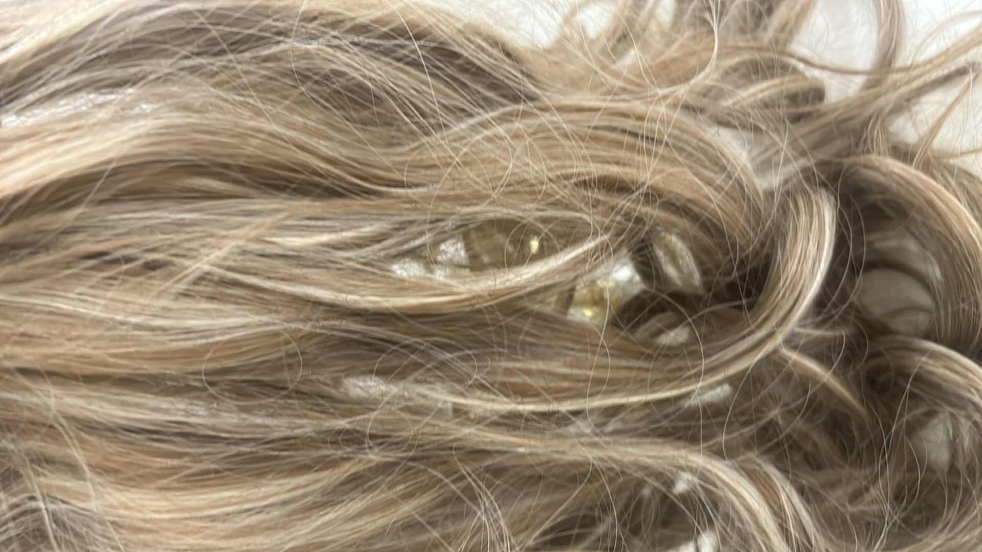 Photo 1 of NEW - BASEBALL HAT WIG