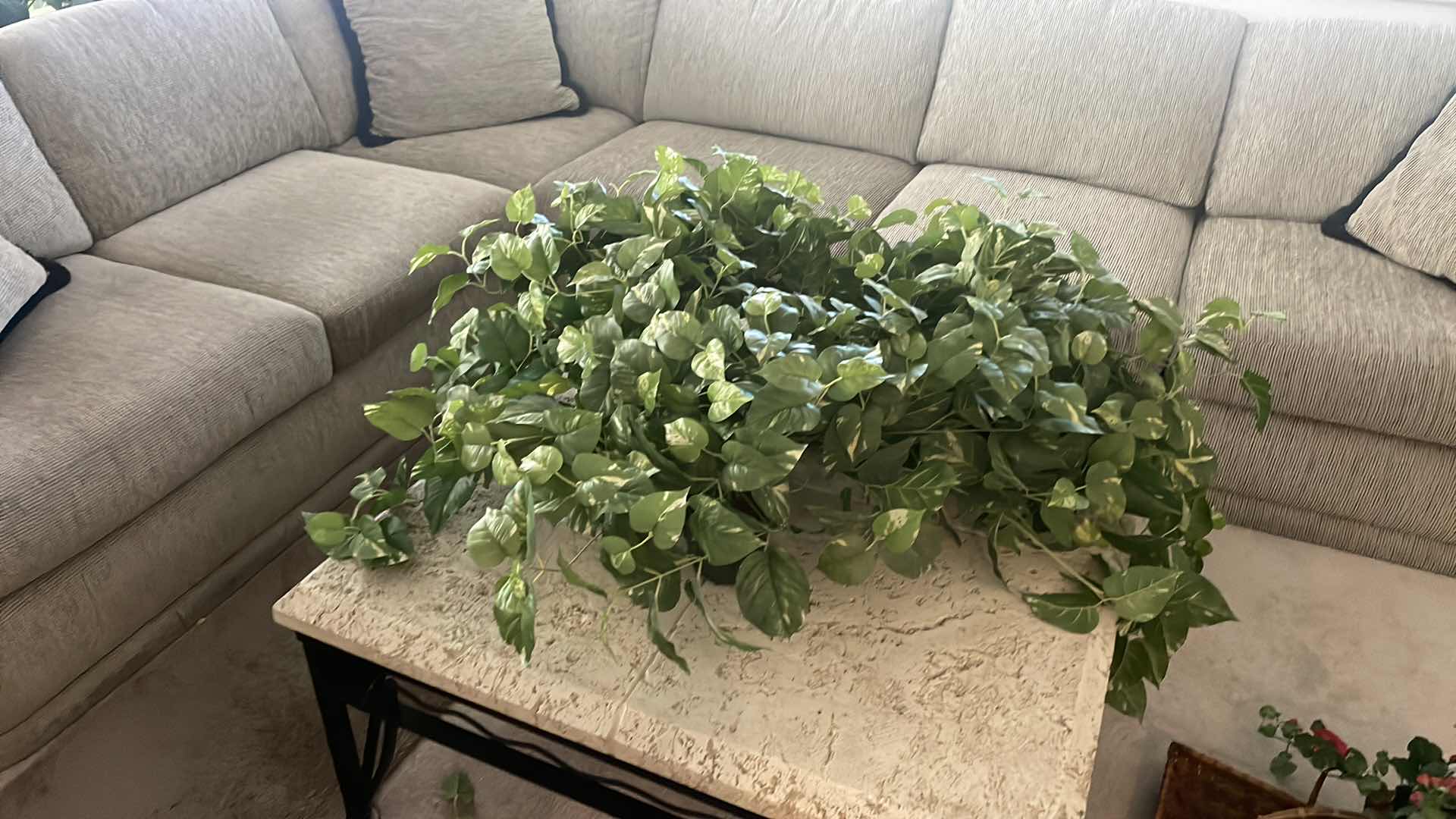 Photo 1 of 4 FAUX IVY PLANTS