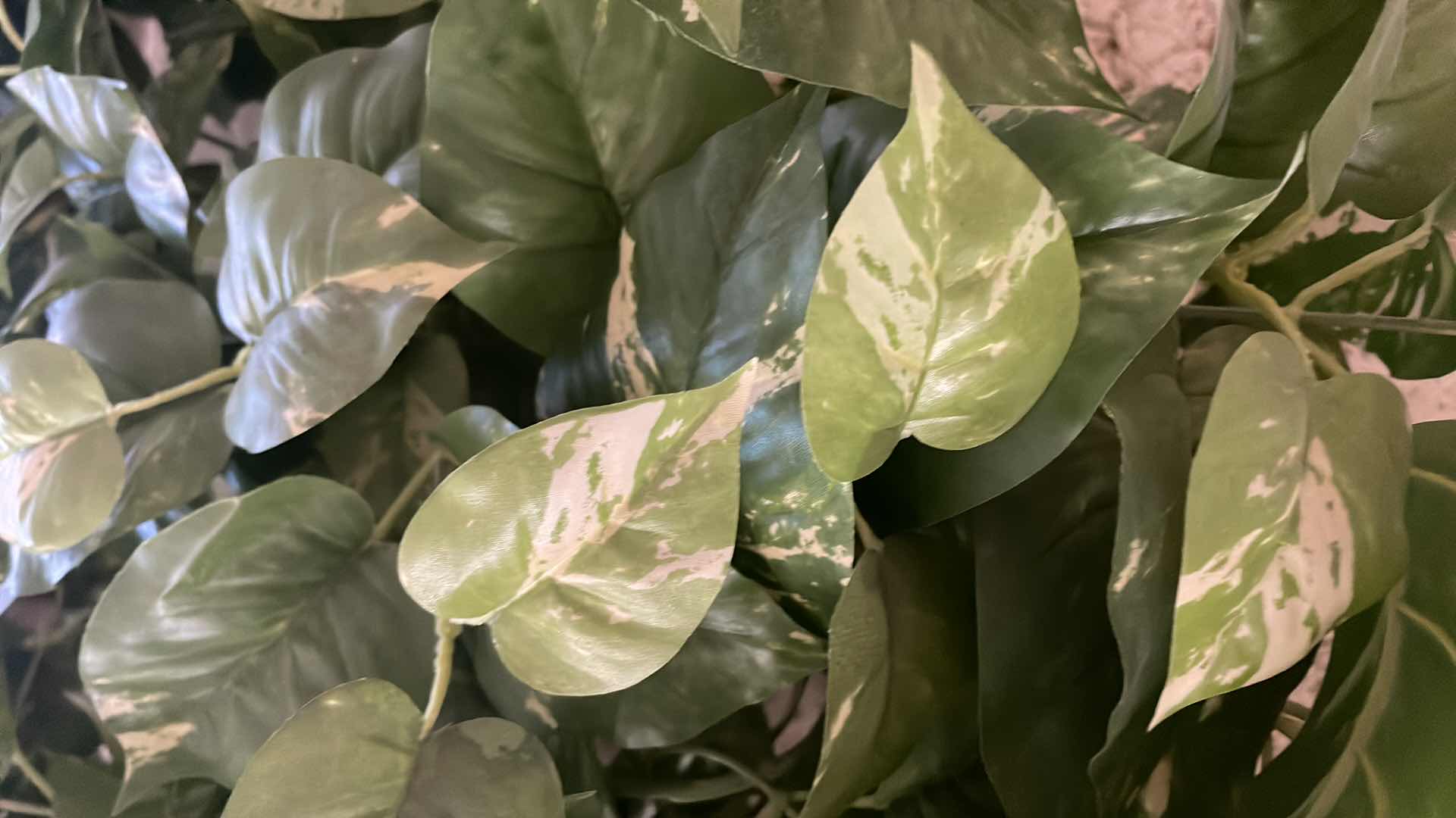 Photo 1 of 3 FAUX IVY PLANTS