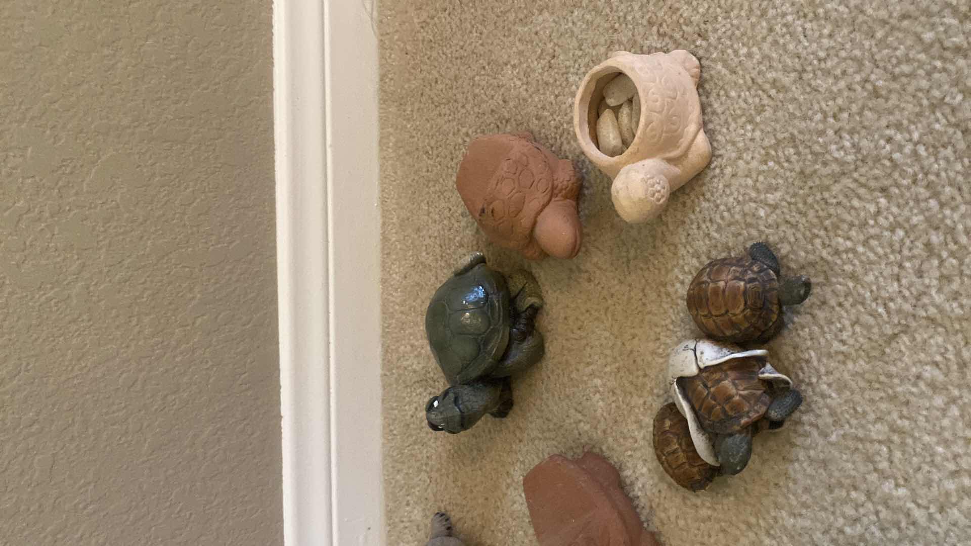 Photo 1 of 7 TURTLE COLLECTION VARIOUS SIZES LARGEST 4 1/2” x 4”