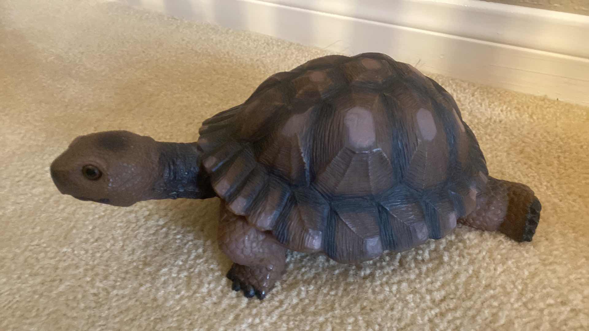 Photo 1 of 3 - RESIN TURTLES LARGEST 10” x 8”