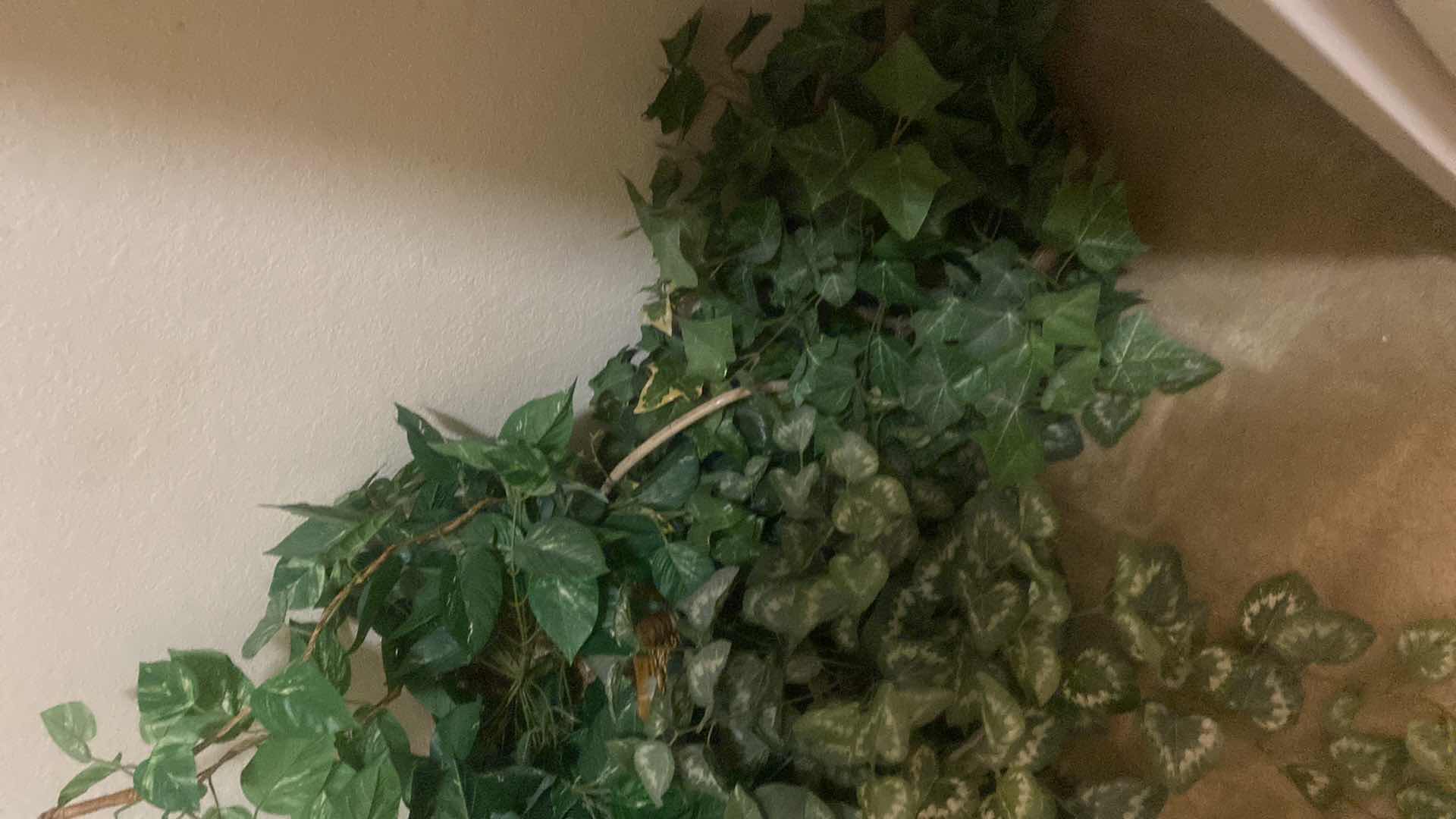 Photo 3 of 5 FAUX PLANTS