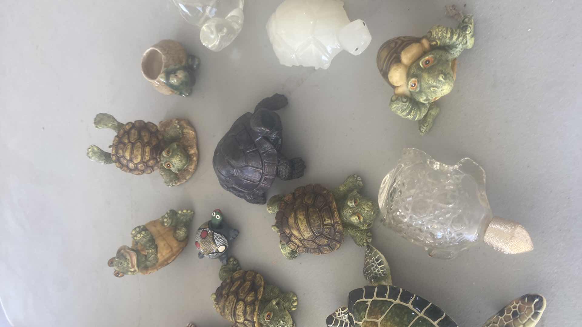 Photo 1 of 15 - TURTLES COLLECTION LARGEST 5” x 5”