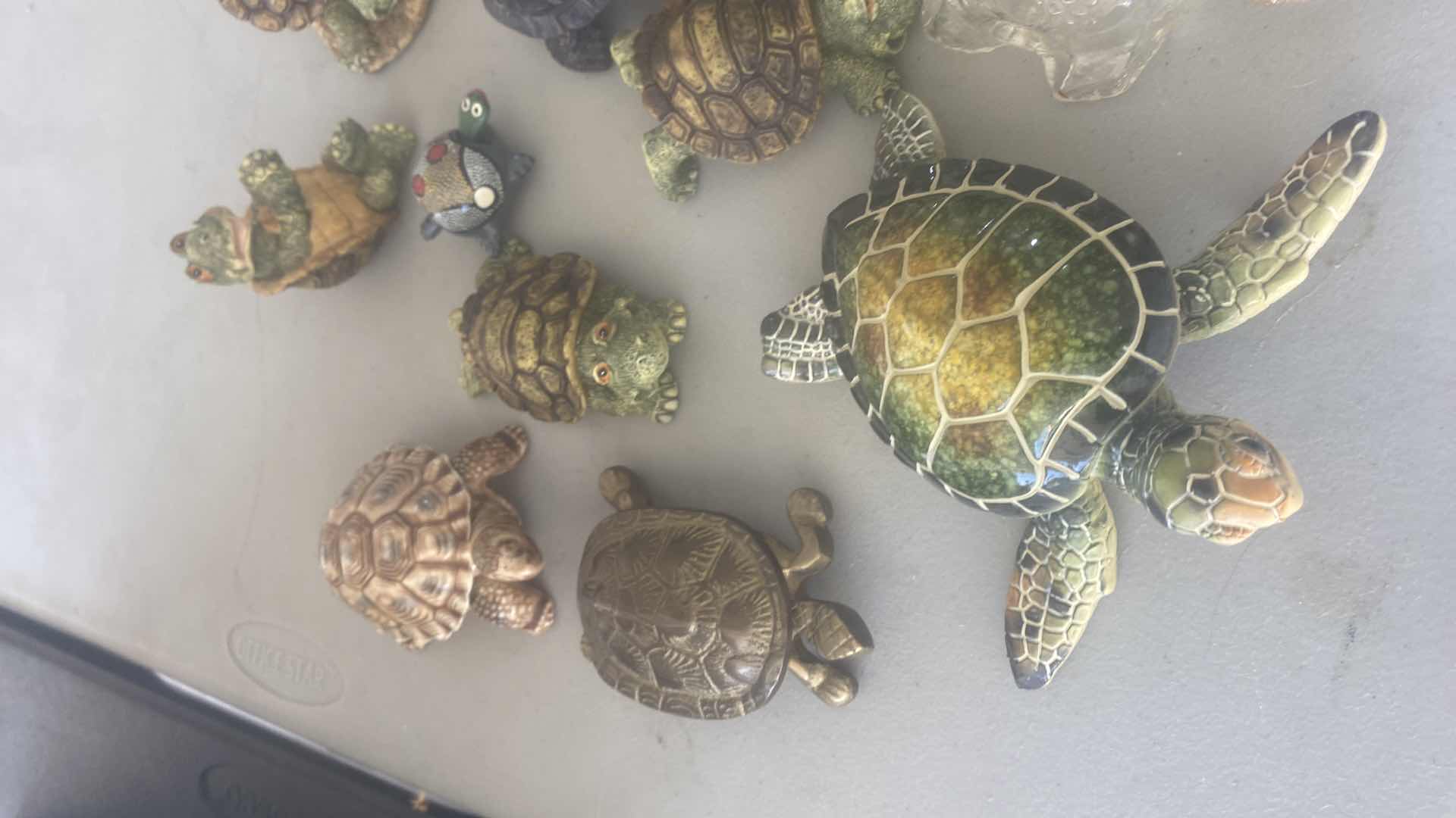 Photo 1 of 15 - TURTLES COLLECTION LARGEST 5” x 5”