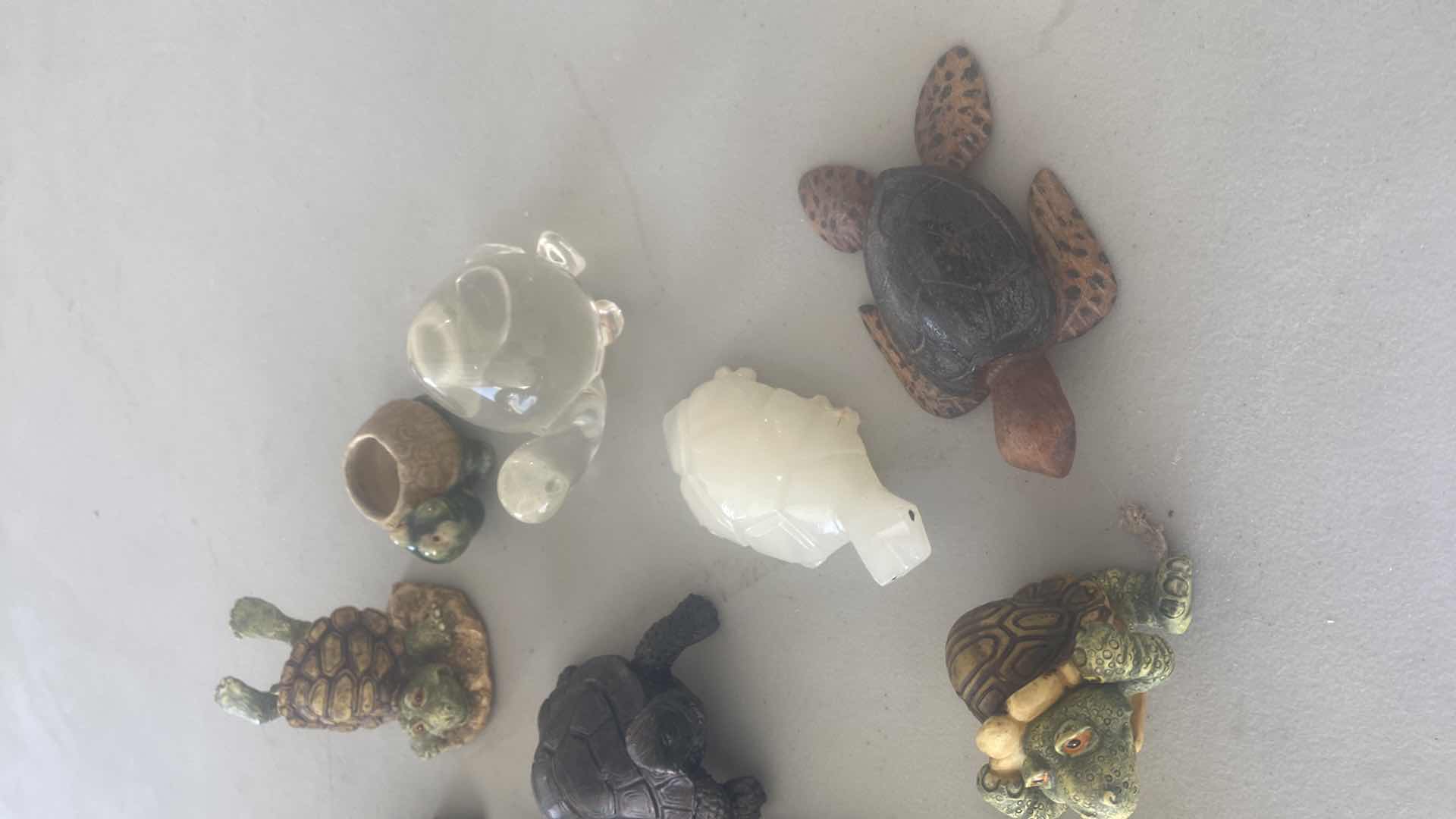 Photo 1 of 15 - TURTLES COLLECTION LARGEST 5” x 5”