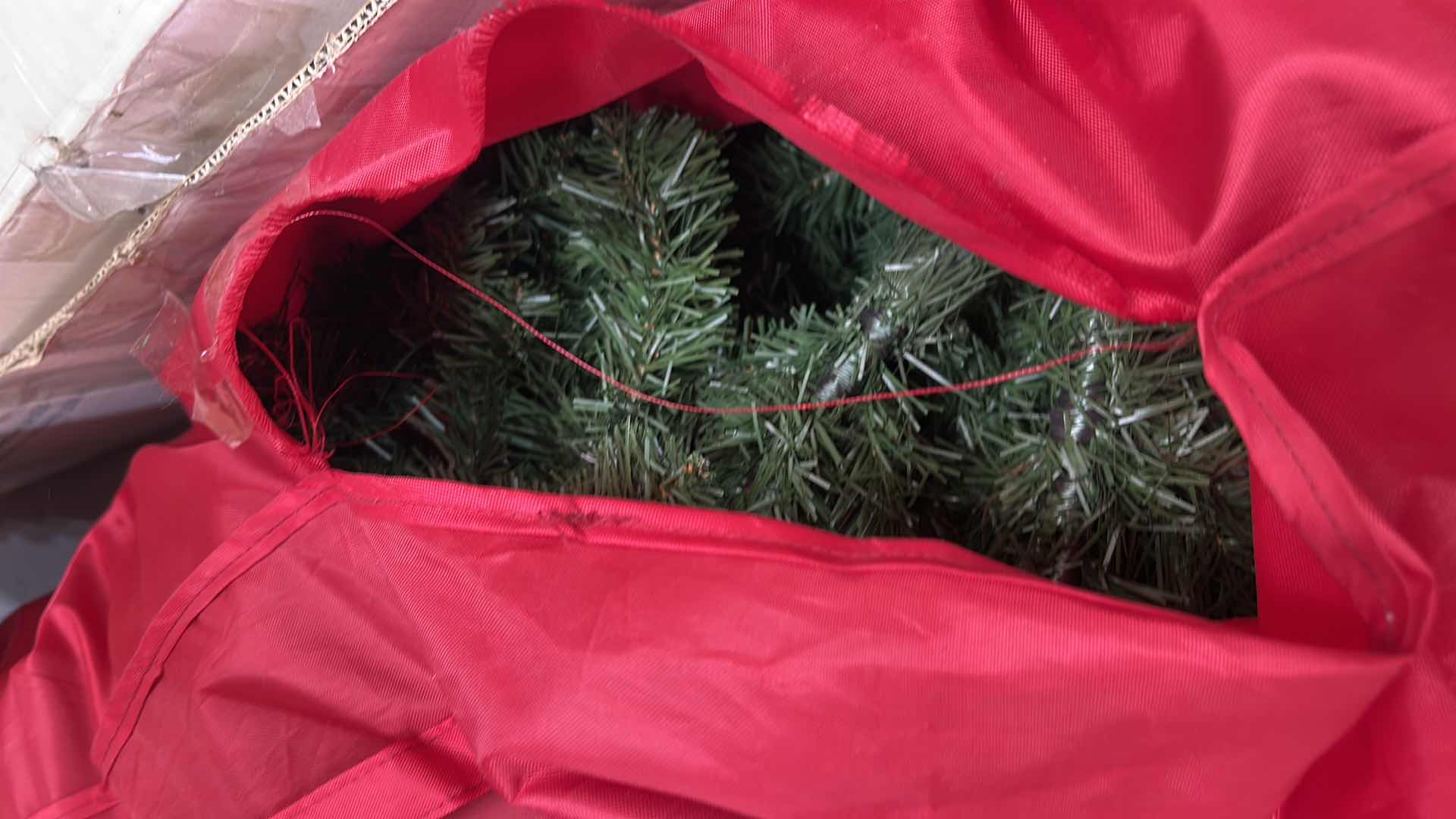 Photo 1 of 2 CHRISTMAS TREES AND LIGHTS