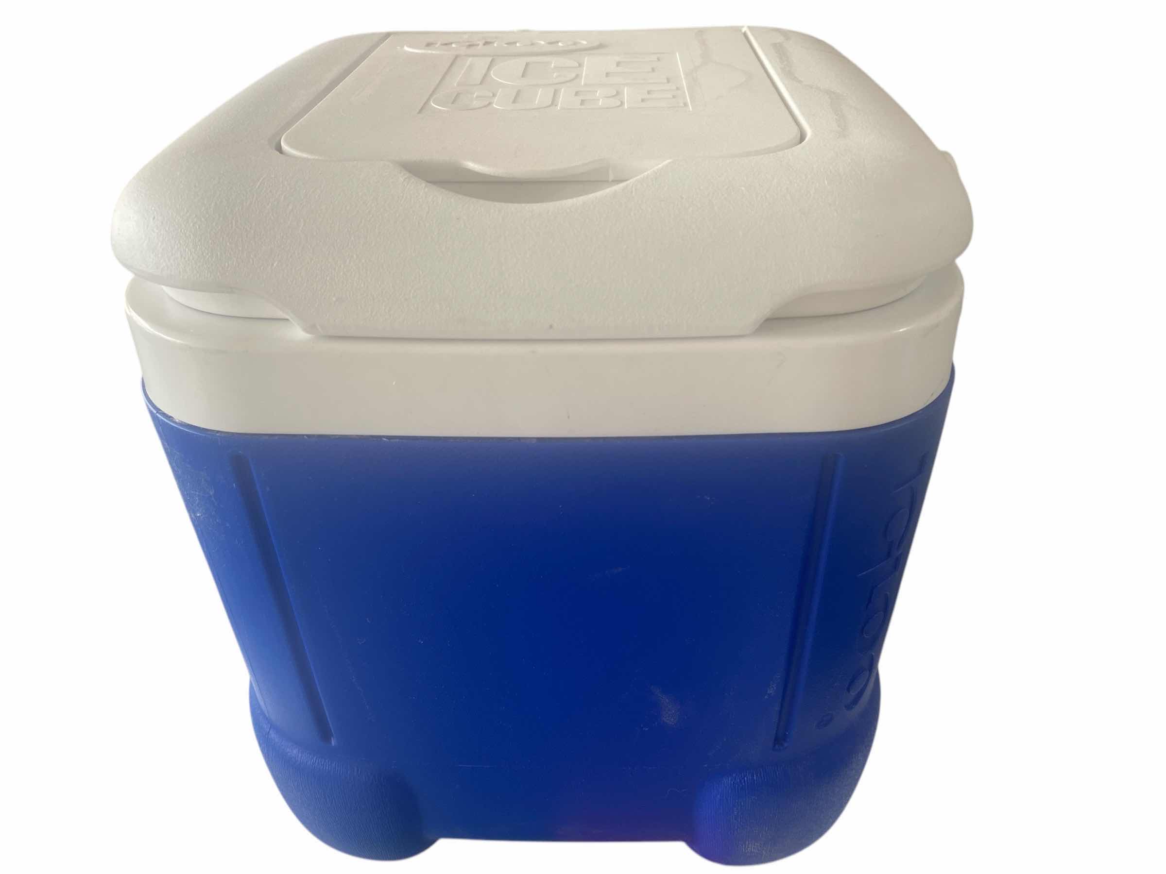 Photo 1 of IGLOO ICE CUBE & LARGE FOAM POUCHES