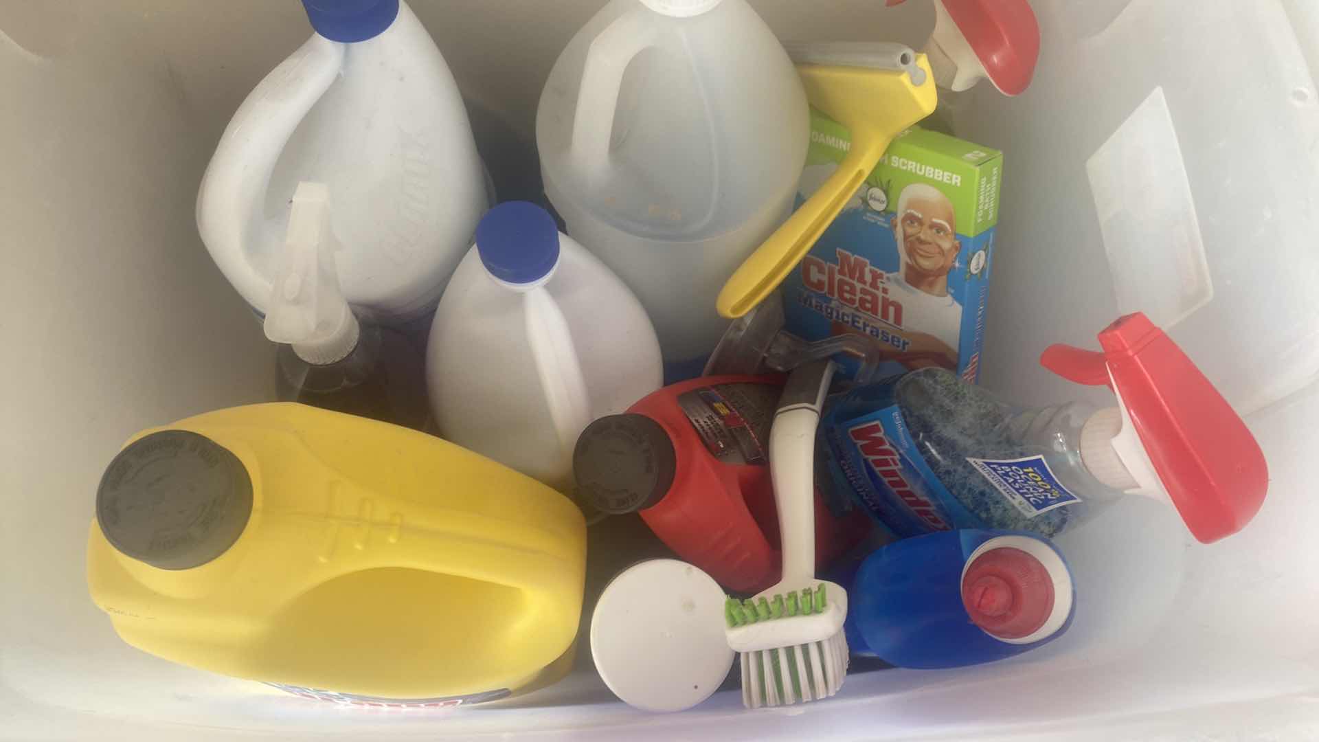 Photo 1 of CLEANING SUPPLIES