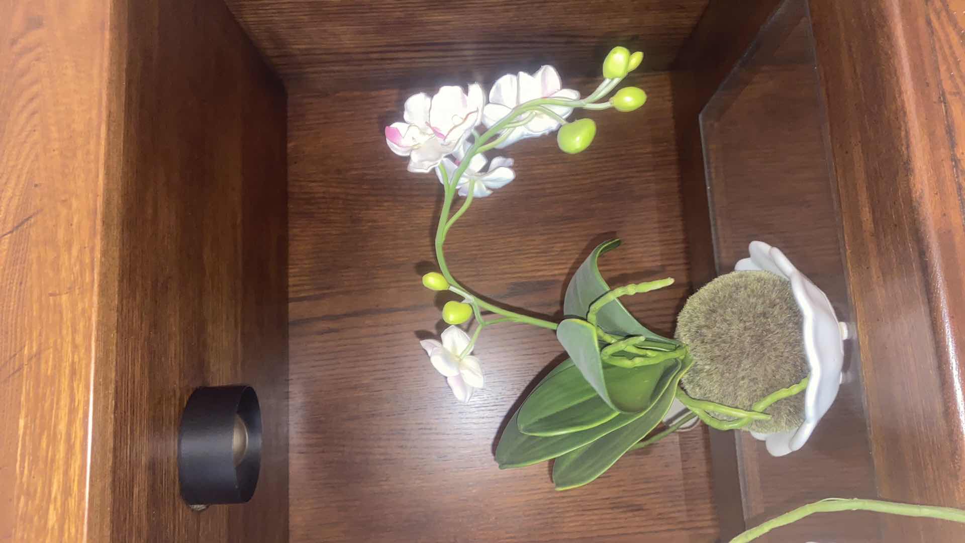 Photo 1 of PAIR OF ORCHIDS H12”