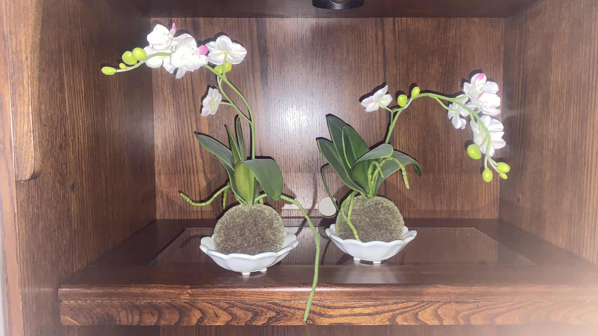 Photo 1 of PAIR OF ORCHIDS H12”