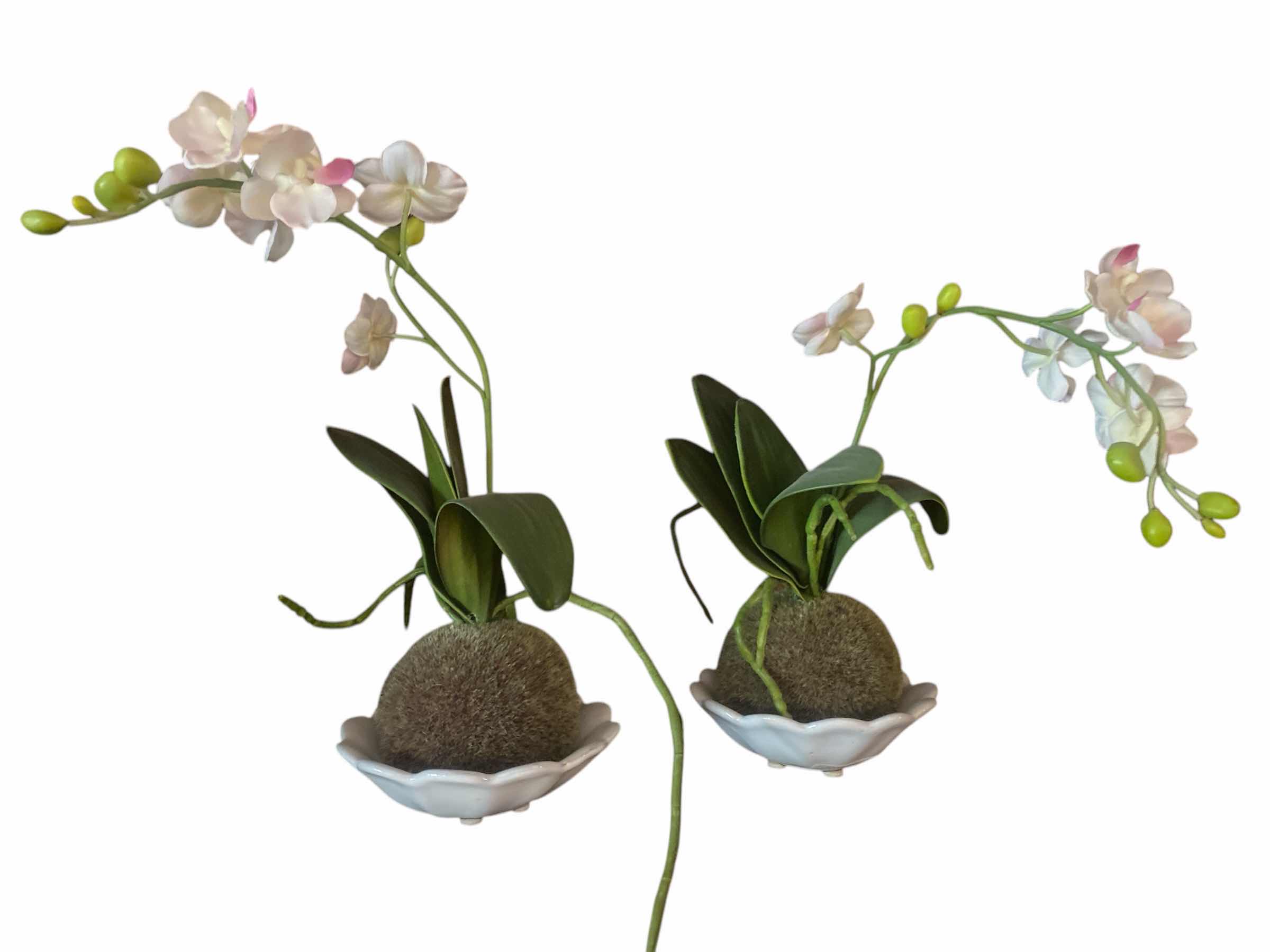Photo 1 of PAIR OF ORCHIDS H12”