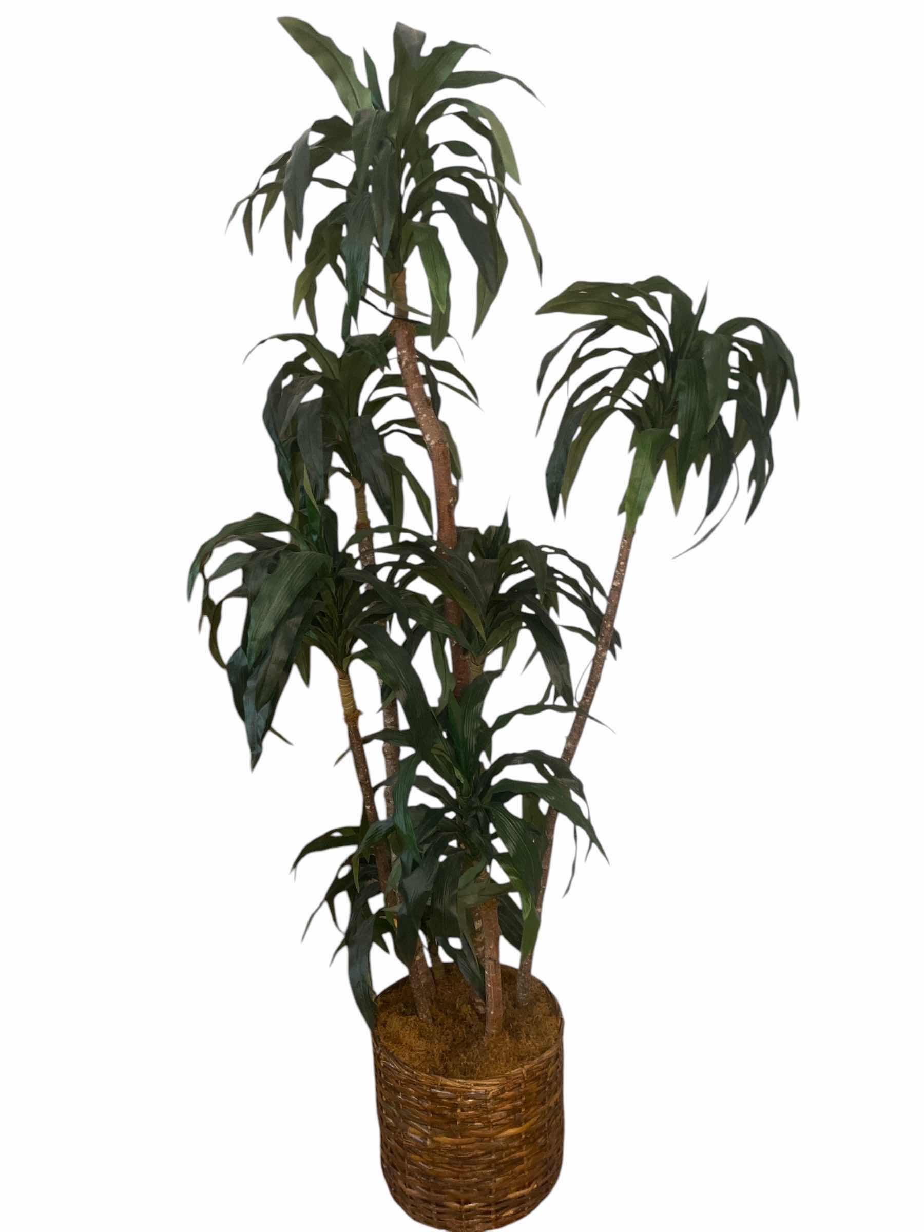 Photo 1 of FAUX TREE IN BASKET H82”