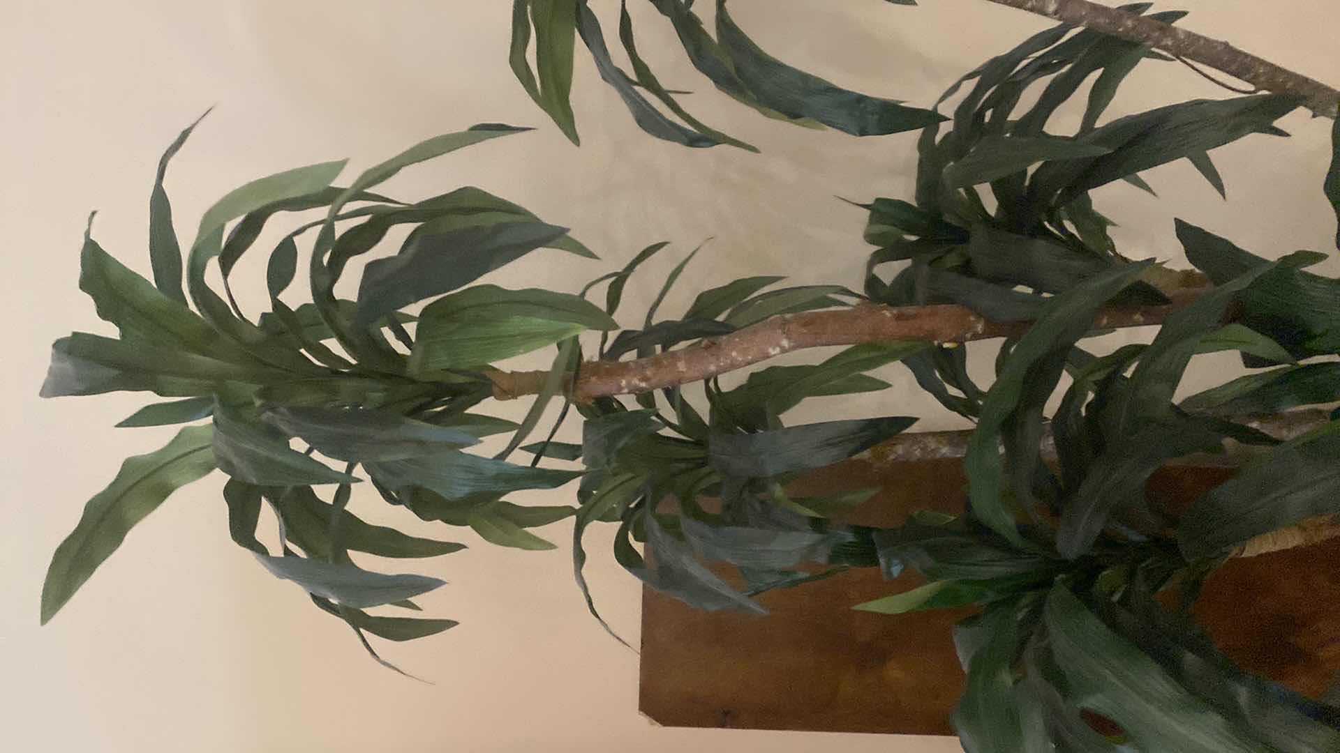 Photo 1 of FAUX TREE IN BASKET H82”