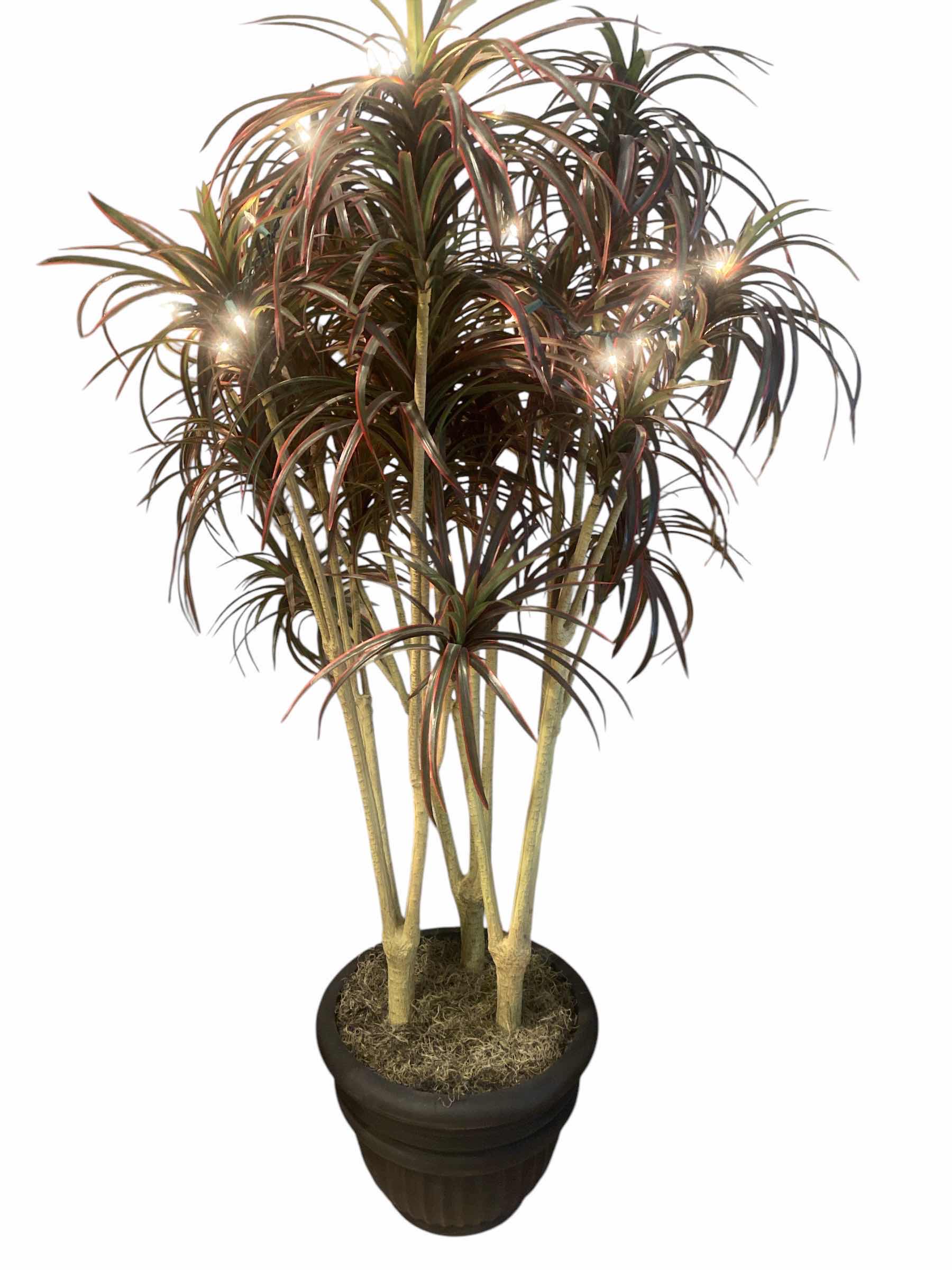 Photo 1 of FAUX TREE WITH LIGHTS H62”