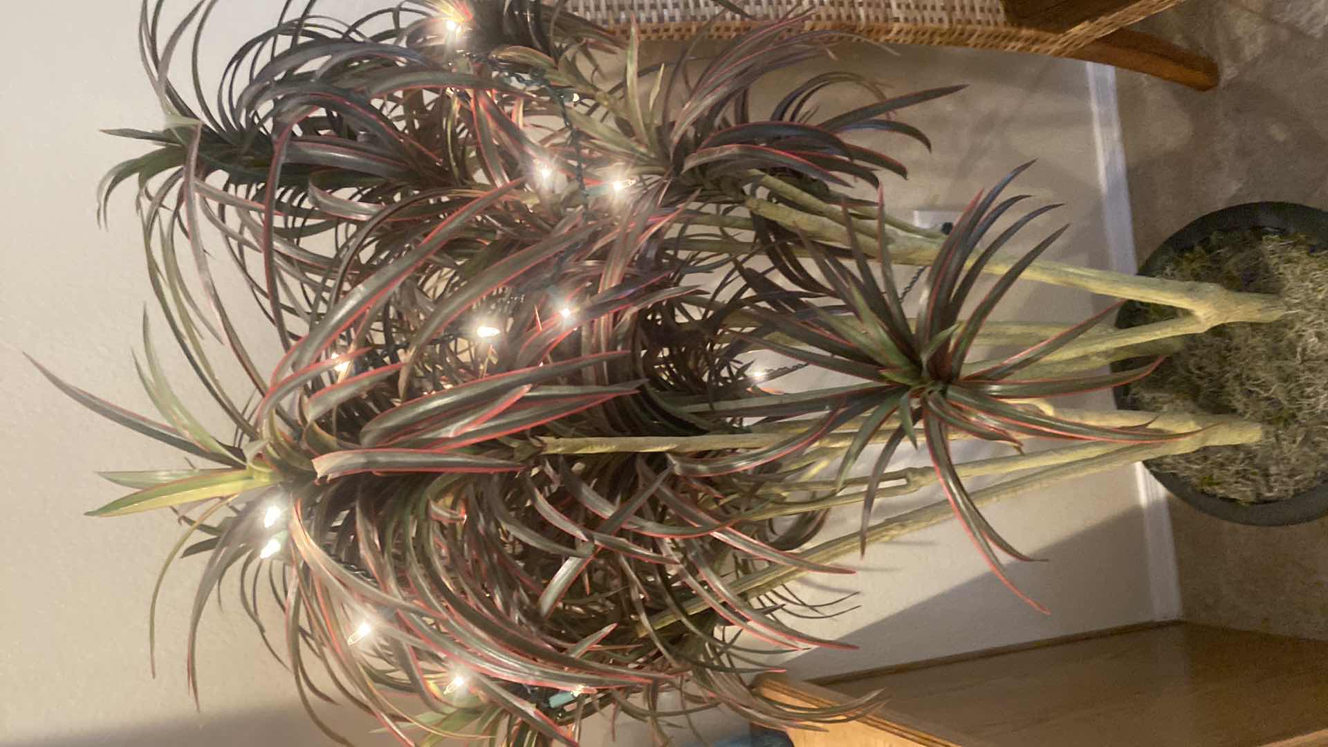 Photo 1 of FAUX TREE WITH LIGHTS H62”