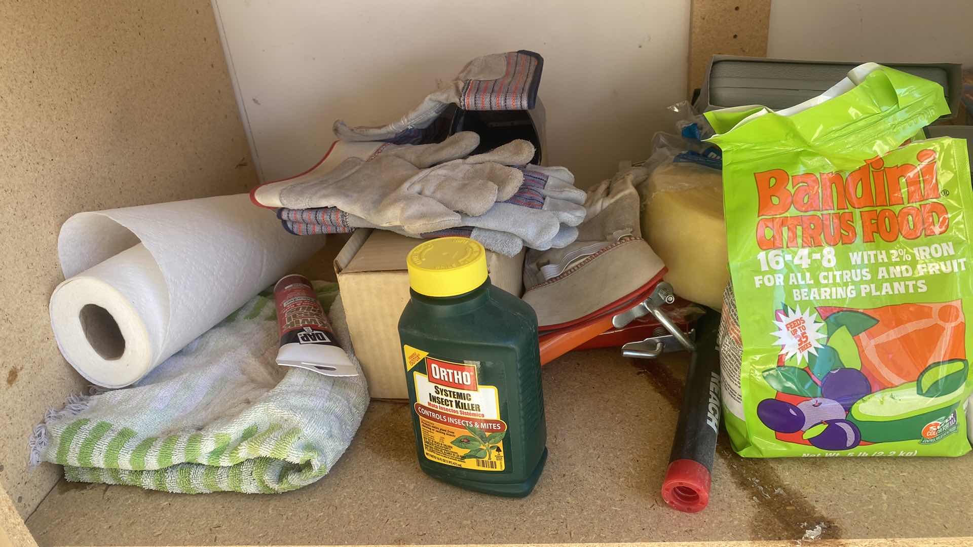 Photo 1 of CONTENTS GARAGE CABINET - HEDGE TRIMMERS & MORE