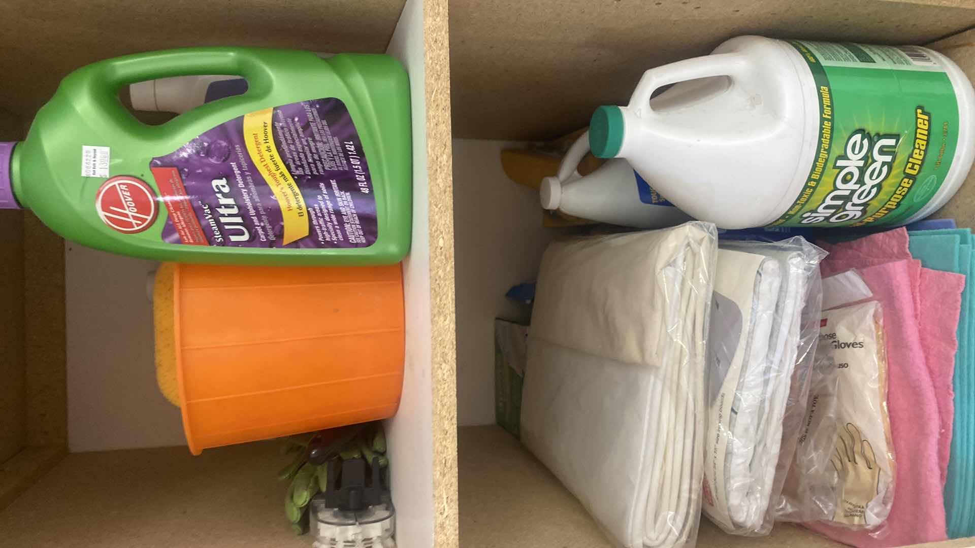 Photo 1 of CONTENTS 2 SHELFS GARSGE CABINET / CLEANING SUPPLIES