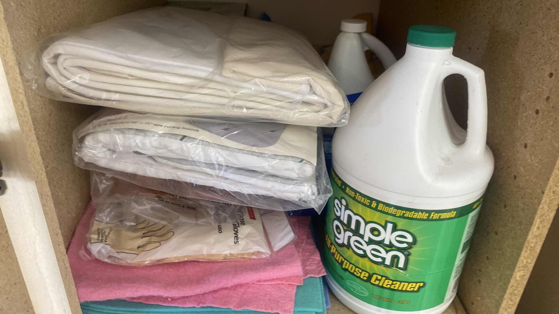 Photo 1 of CONTENTS 2 SHELFS GARSGE CABINET / CLEANING SUPPLIES