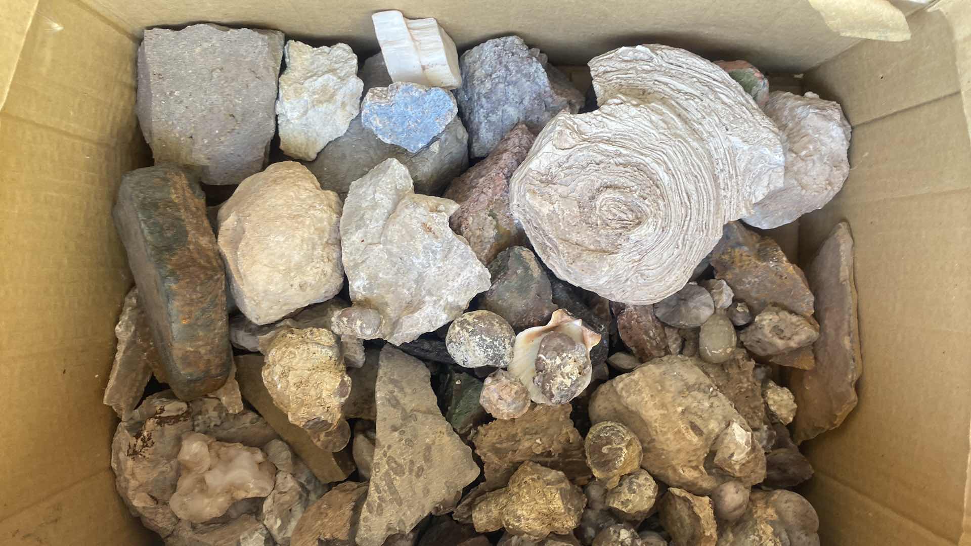 Photo 1 of BOX OF ROCKS