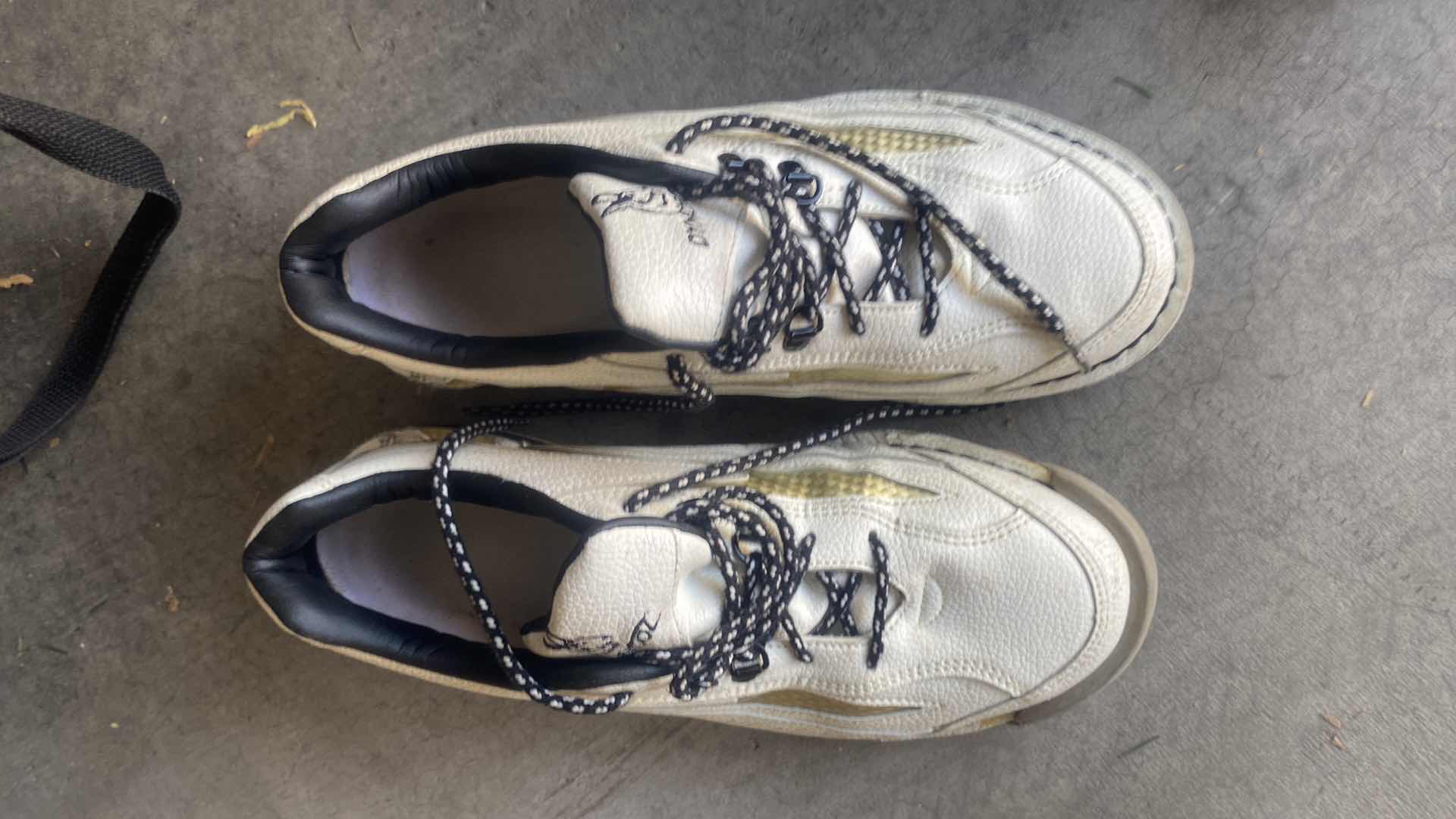 Photo 1 of 2 BOWLING BALLS  & MENS SHOES SIZE 10 WITH BAG