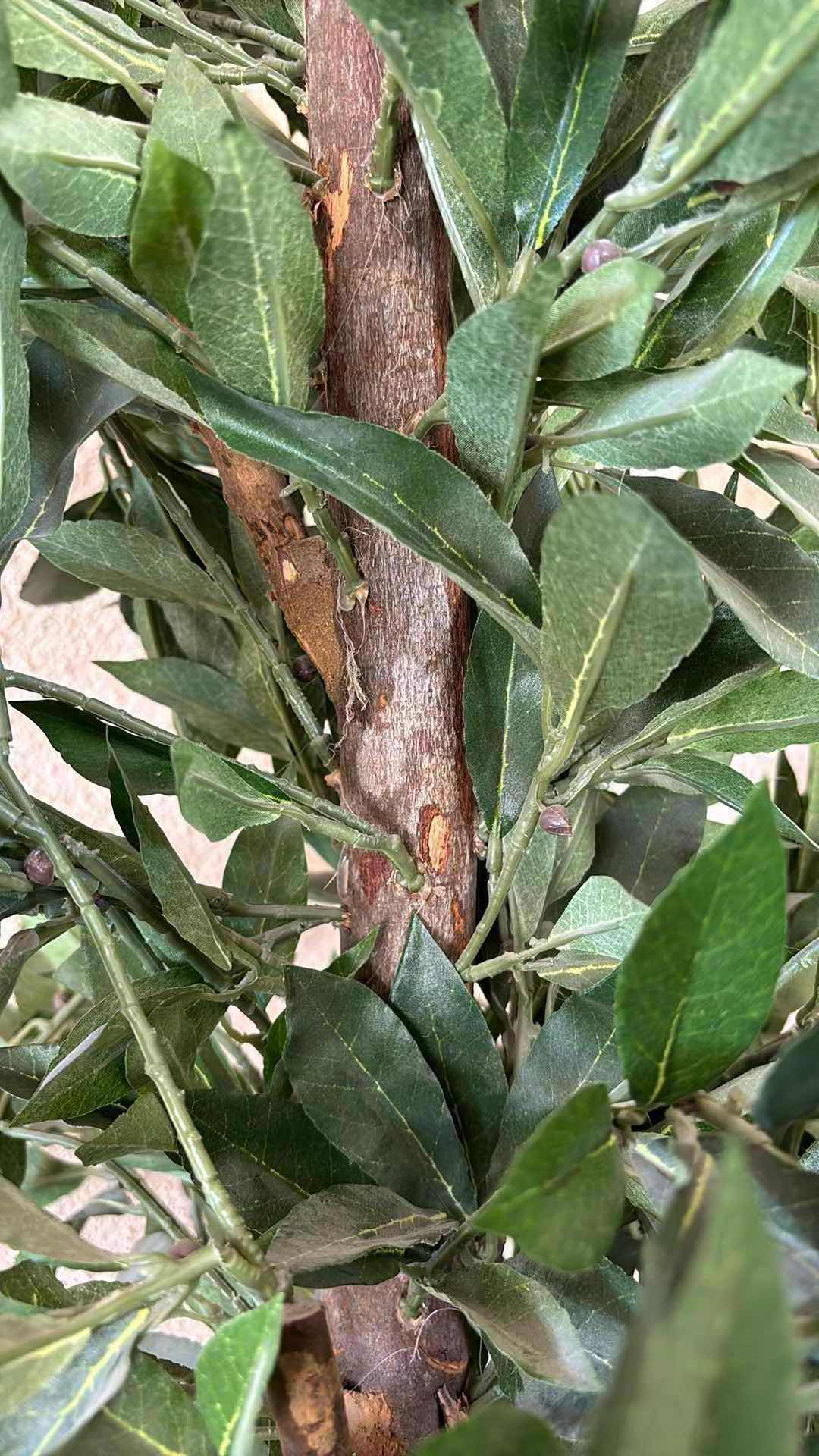 Photo 1 of 6’ ARTIFICIAL TREE IN THRESHOLD TWISTED ABACA BASKET