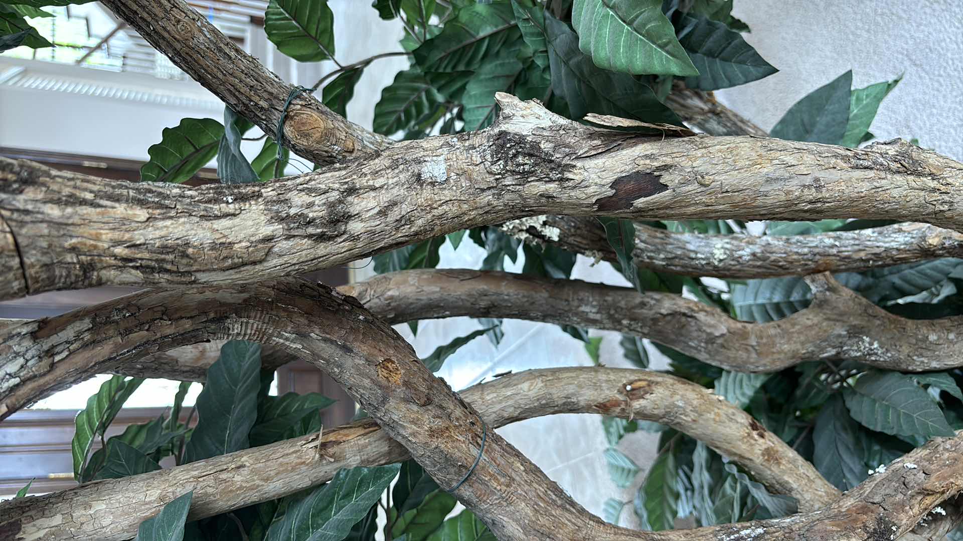 Photo 1 of 10’ ARTIFICIAL COFFEA CANEPHORA TREE W MARBLEIZED STONE POT 23” X 23” H16”