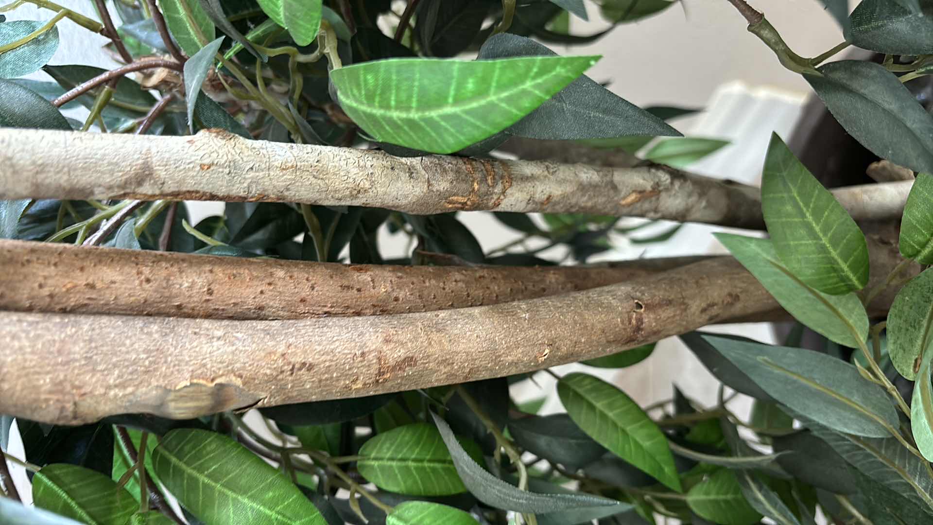 Photo 1 of 7.5” ARTIFICIAL TREE W VINEYARD DECORATIVE PLASTIC POT