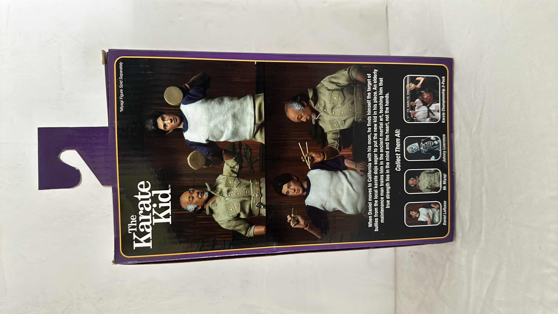 Photo 1 of NIB KARATE KID DANIEL LARUSSO,MSRP $35