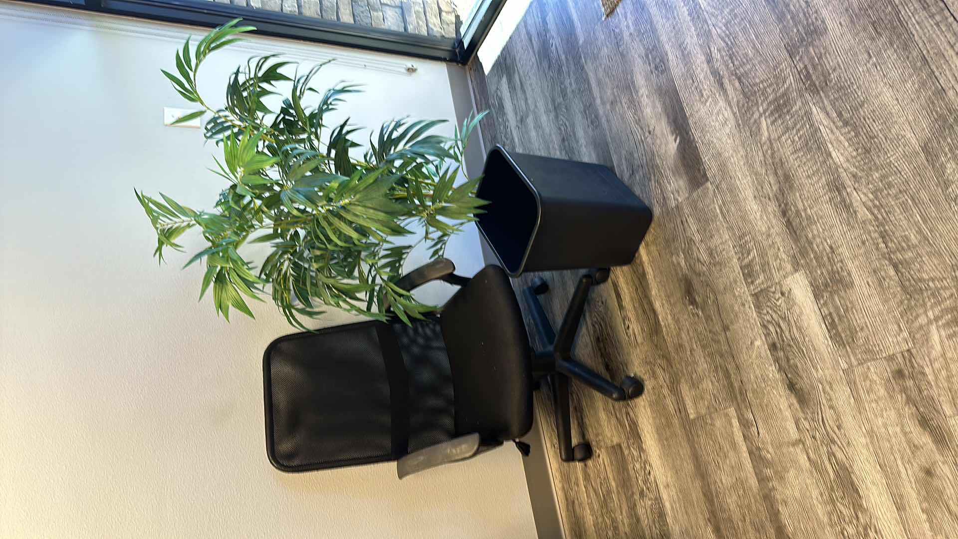 Photo 1 of BLACK SWIVEL OFFICE CHAIR, FAUX TREE, TRASH BASKET