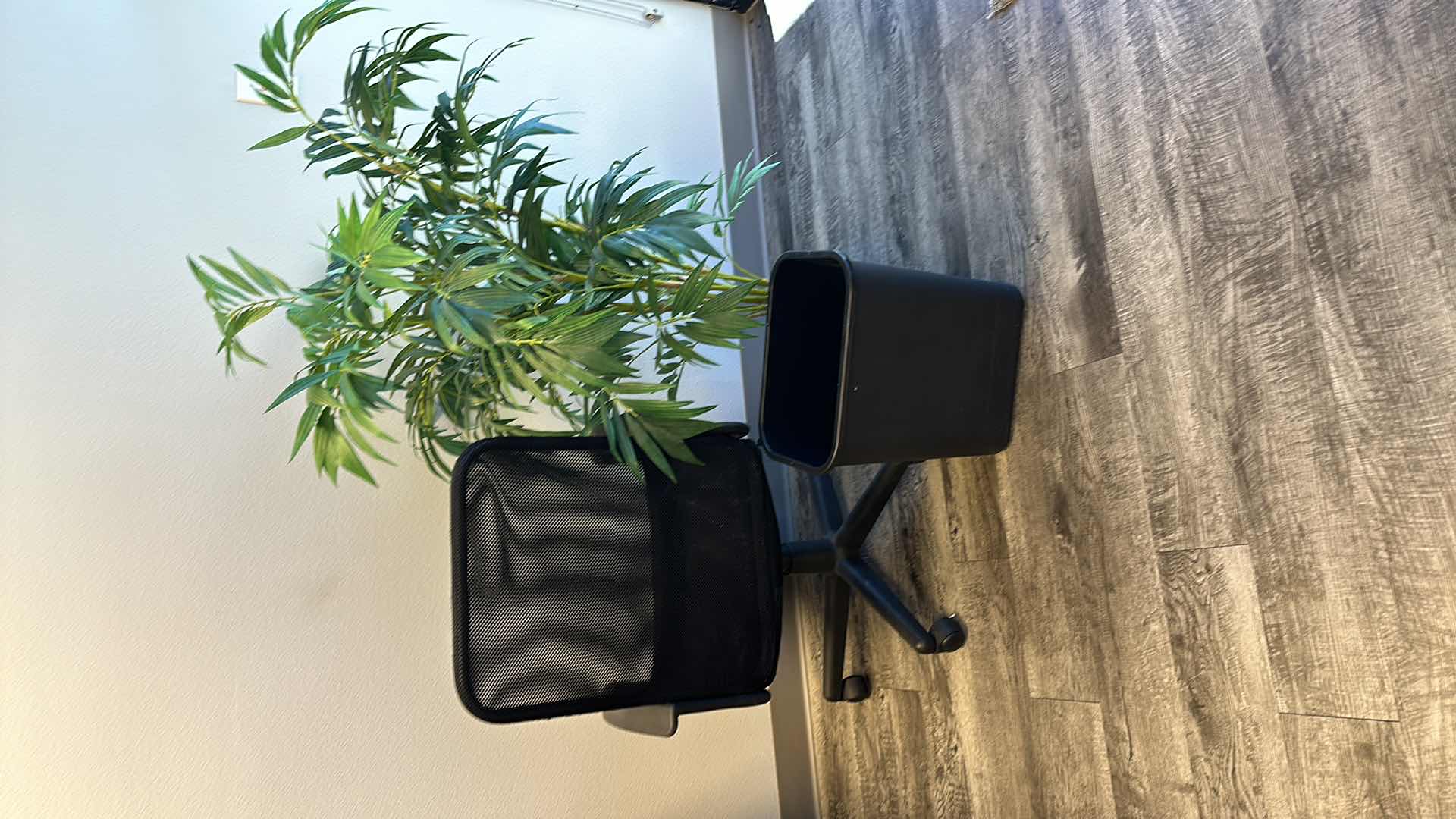 Photo 1 of BLACK SWIVEL OFFICE CHAIR, FAUX TREE, TRASH BASKET