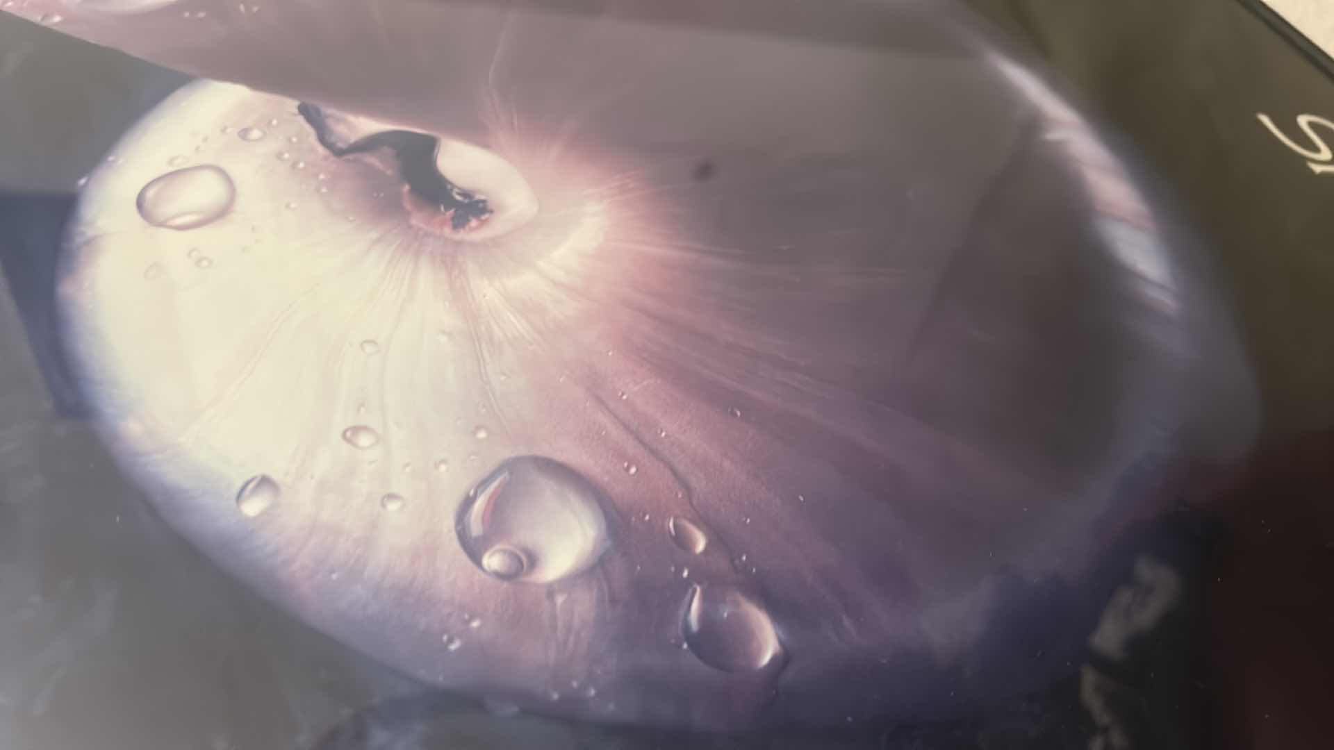 Photo 1 of FRAMED "NAUTILUS SHELL" ARTWORK 22“ x 28“