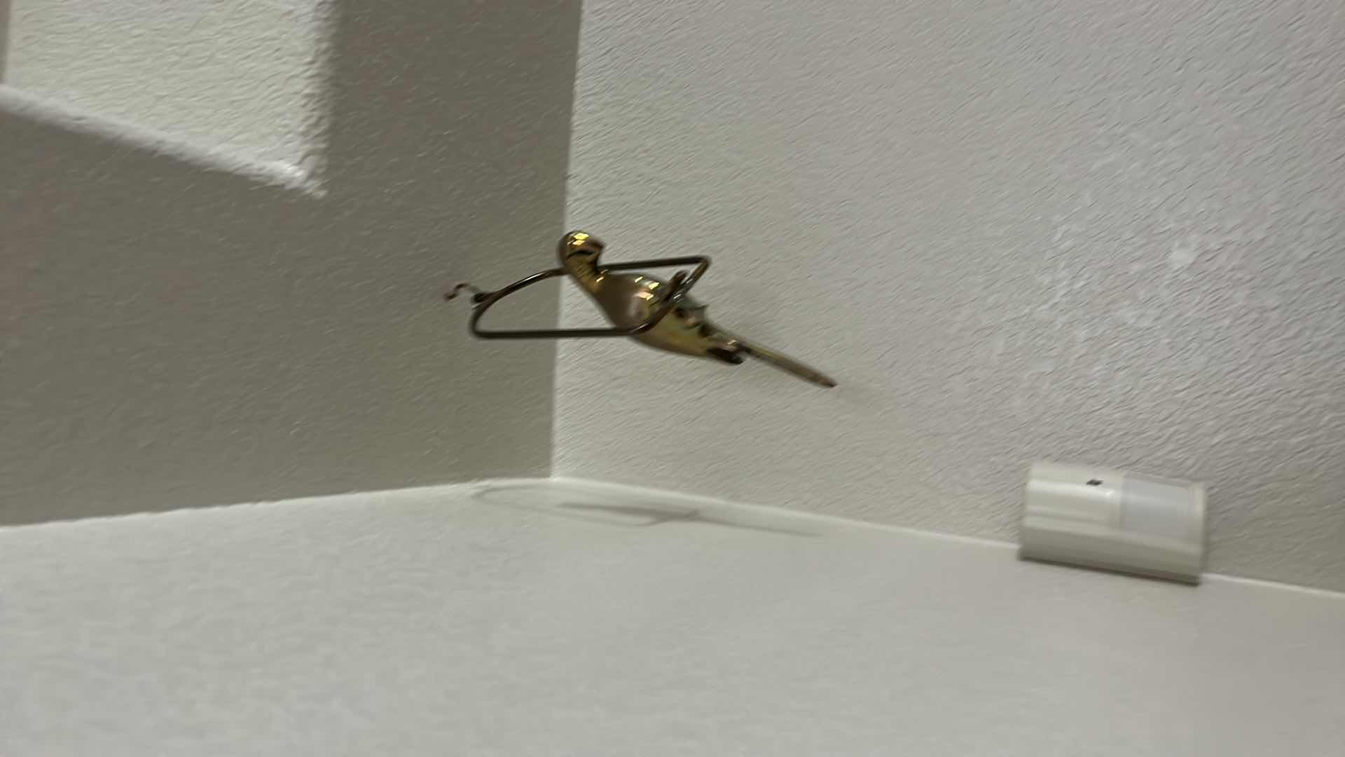 Photo 1 of 2 HANGING BIRDS, TOUCAN AND PARROT  26” & 11”