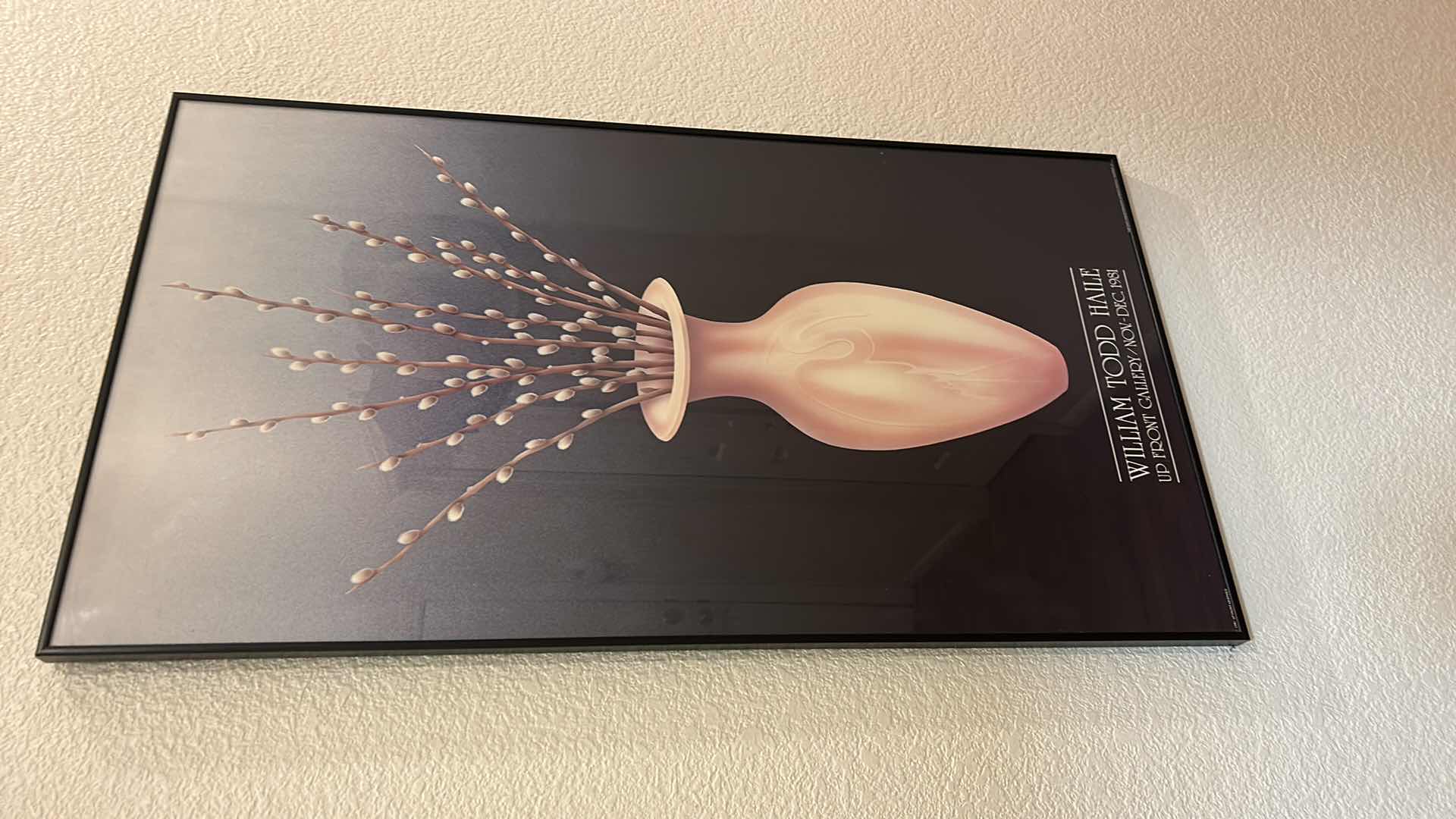 Photo 1 of FRAMED "VASE" WILLIAM TODD HAILE, UP FRONT GALLERY ARTWORK 20” x 36”