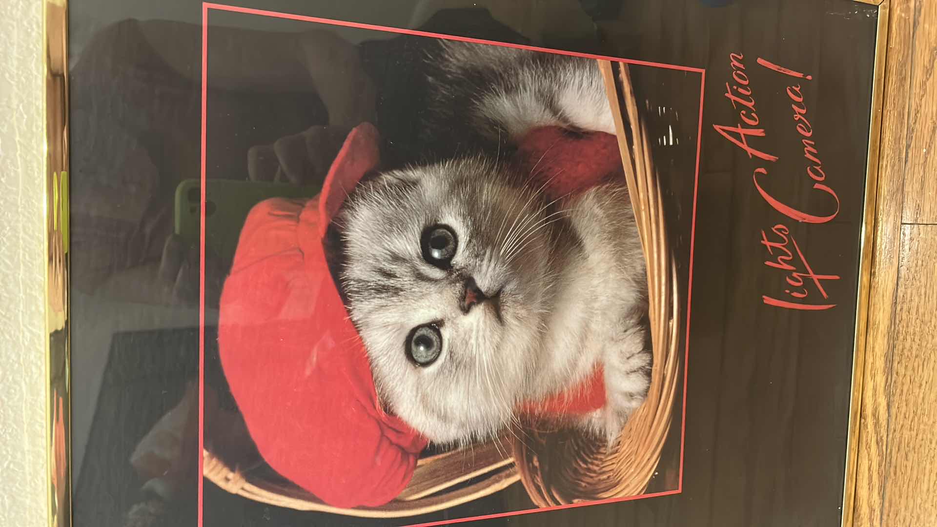 Photo 1 of FRAMED "LIGHTS, ACTION, CAMERA CAT" ARTWORK 16” x 20 1/2”