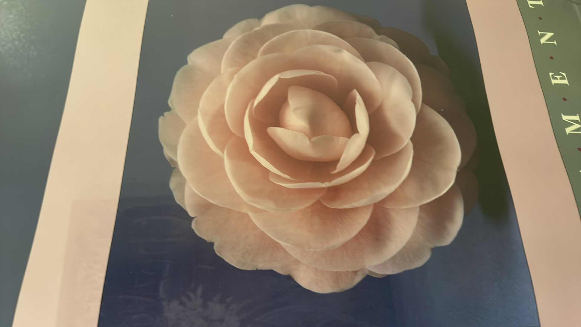 Photo 1 of FRAMED  “SACRAMENTO” FLORAL ARTWORK 20” x 28”