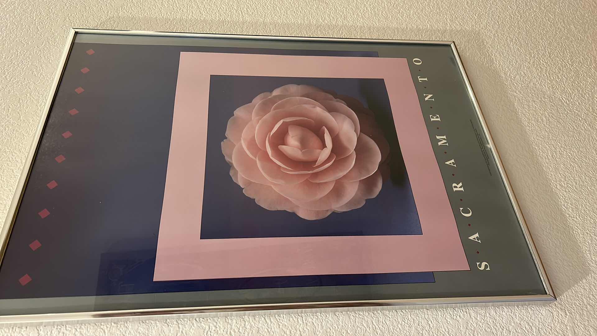 Photo 1 of FRAMED  “SACRAMENTO” FLORAL ARTWORK 20” x 28”