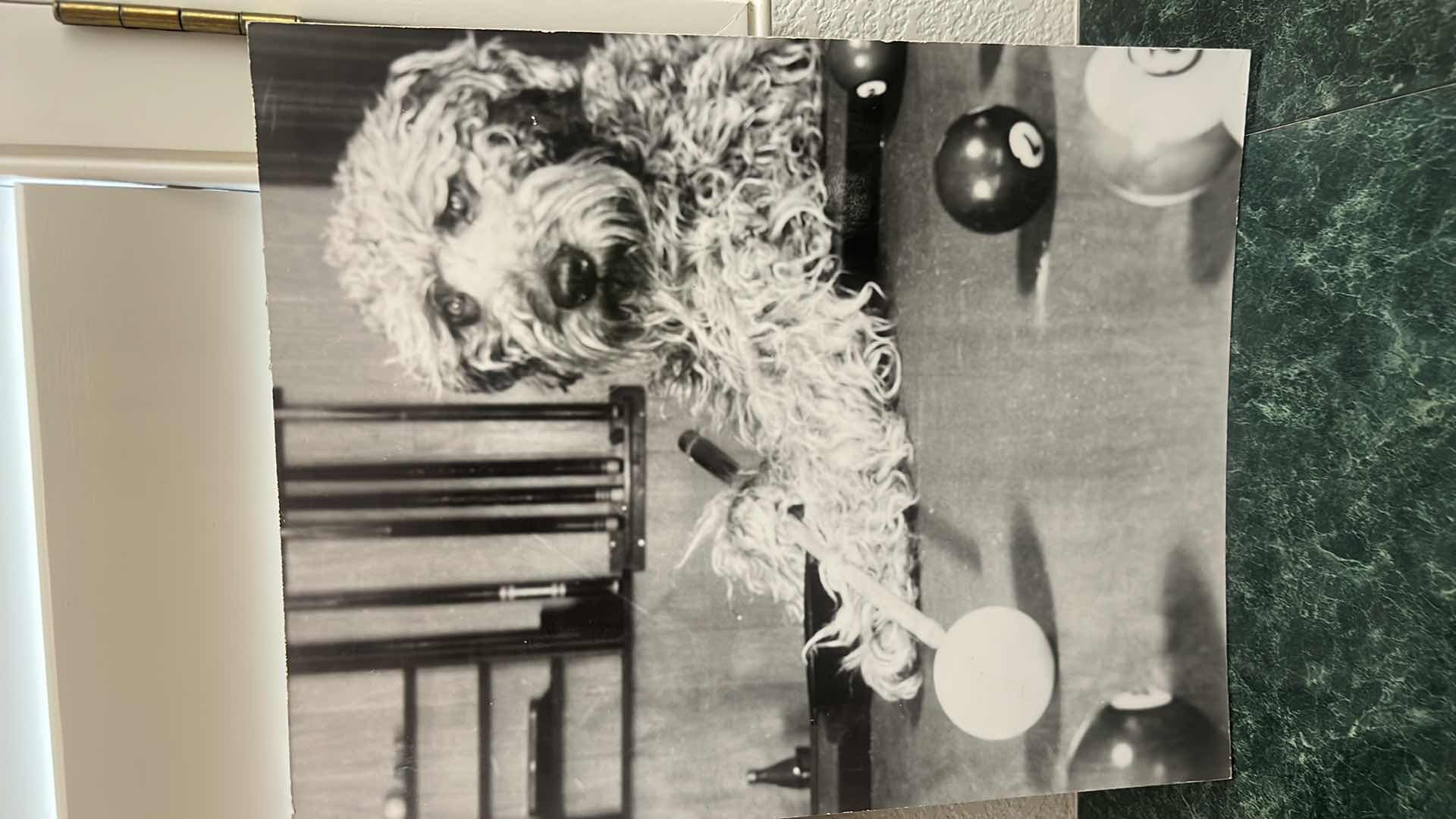 Photo 1 of FRAMED NUMBERED 23/200 SIGNED JOANNE GRAHAM “DOG” ARTWORK 15” x 12” AND COLLECTIBLES
