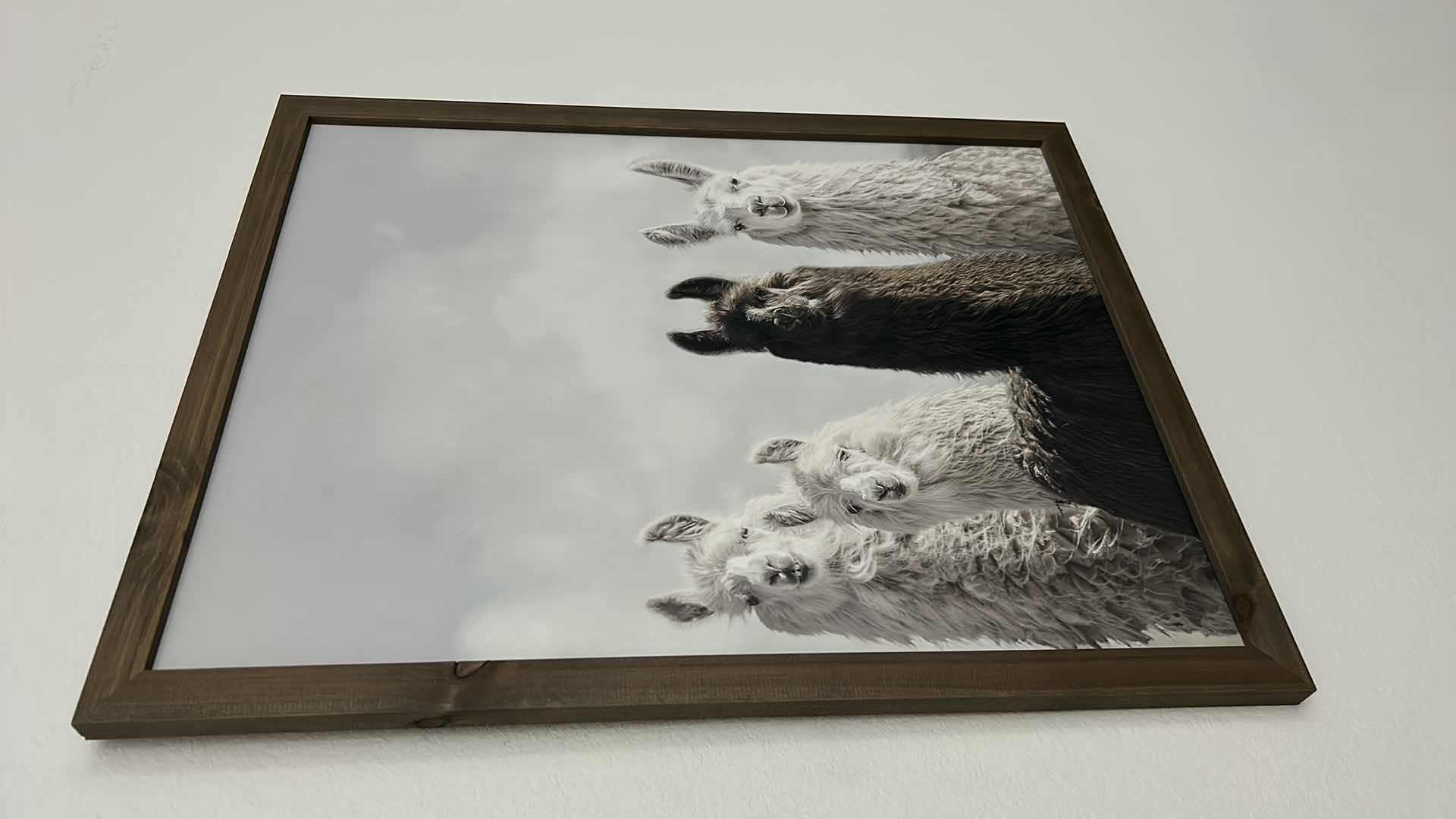 Photo 1 of FRAMED PRINT “ LLAMAS” ARTWORK 24“ x 30“