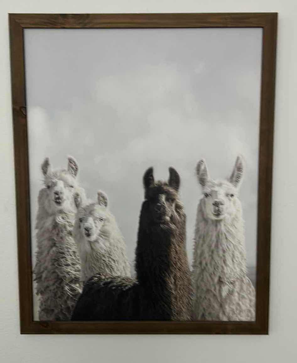 Photo 1 of FRAMED PRINT “ LLAMAS” ARTWORK 24“ x 30“
